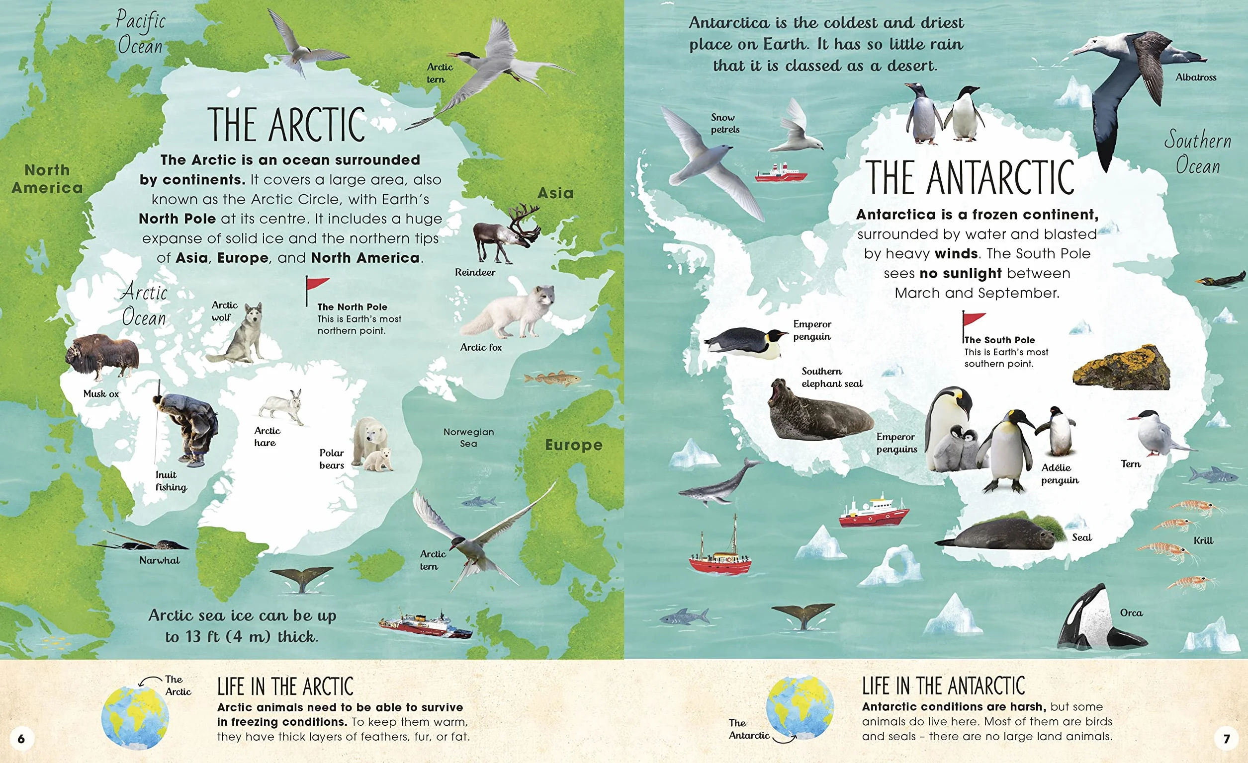 The Frozen Worlds: The Astonishing Nature of the Arctic and Antarctic