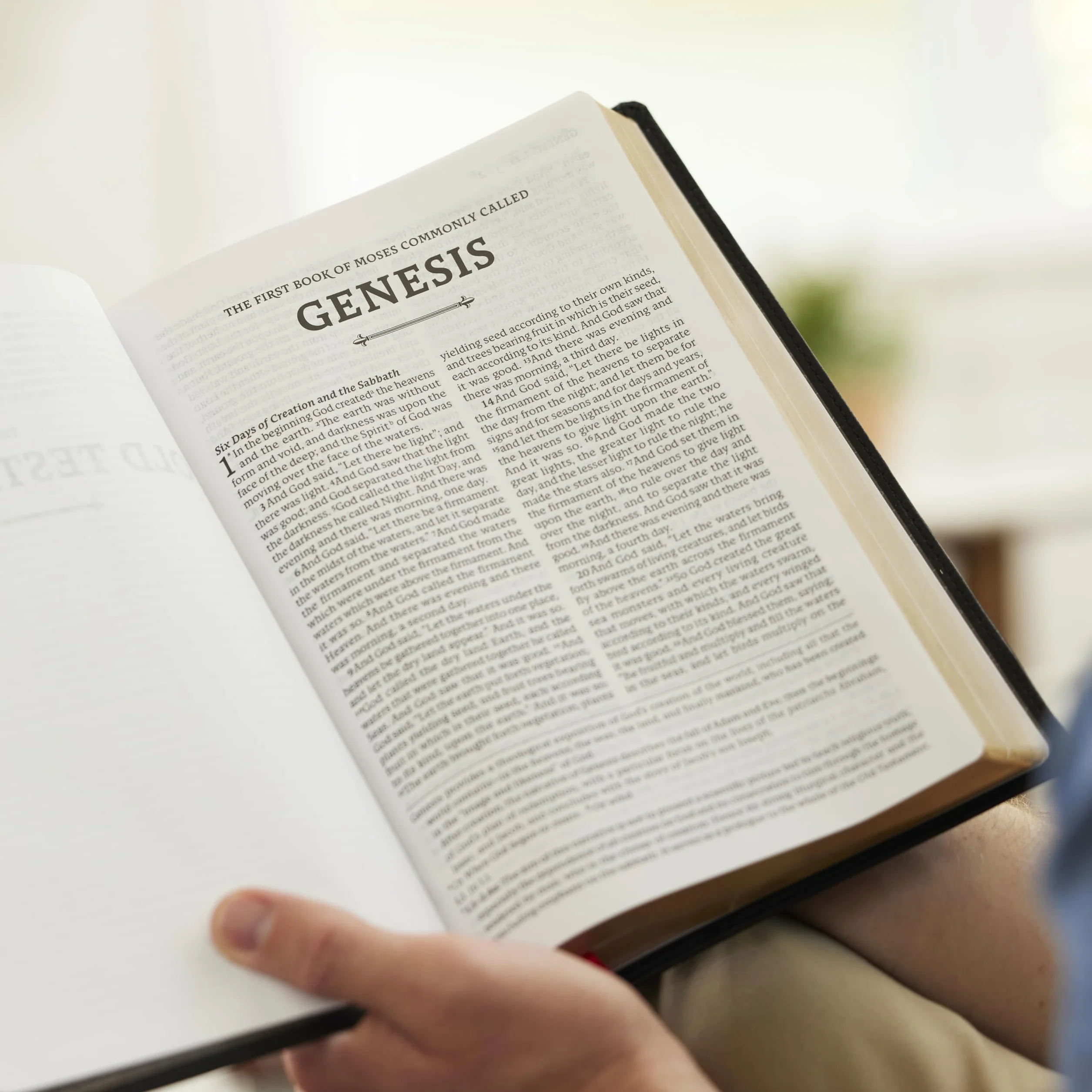 Rsv2ce, Thinline Large Print Catholic Bible, Black Leathersoft, Comfort Print: Revised Standard Version, Black, Leathersoft, Catholic Edition, Thinline