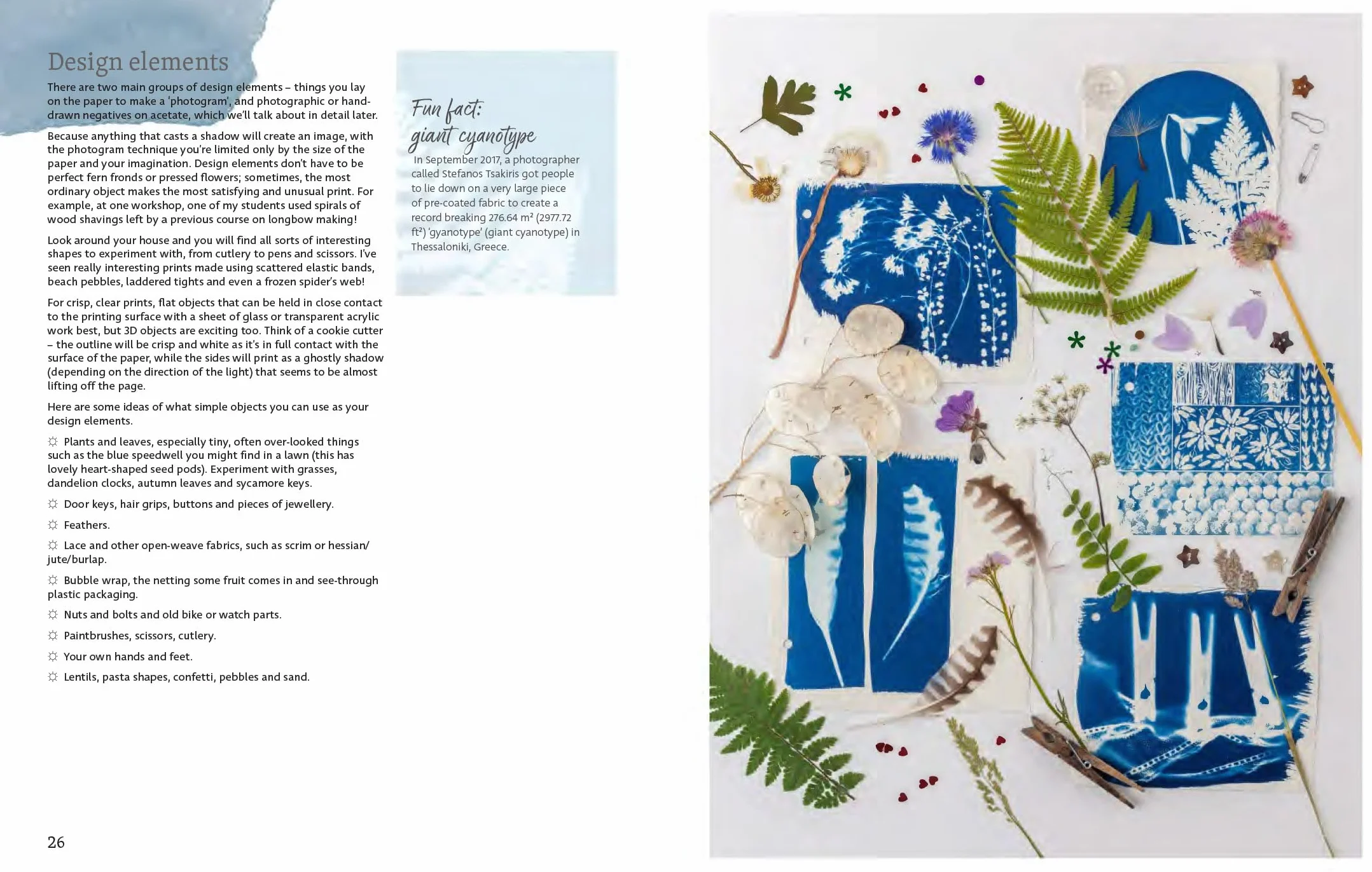Beginner's Guide to Cyanotype: Beautiful Projects to Print with Light