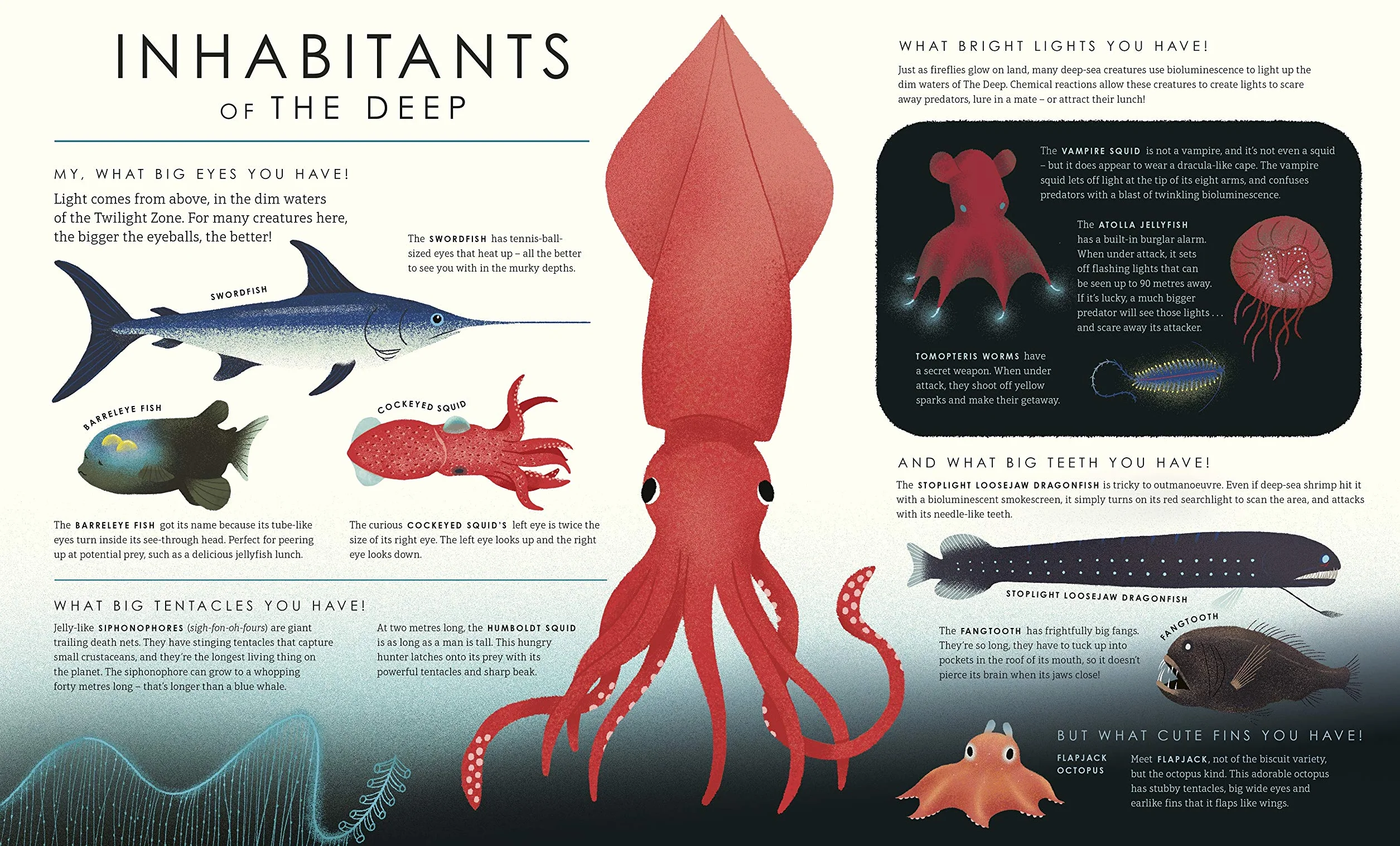 Blue Planet II: For young wildlife-lovers inspired by David Attenborough's series