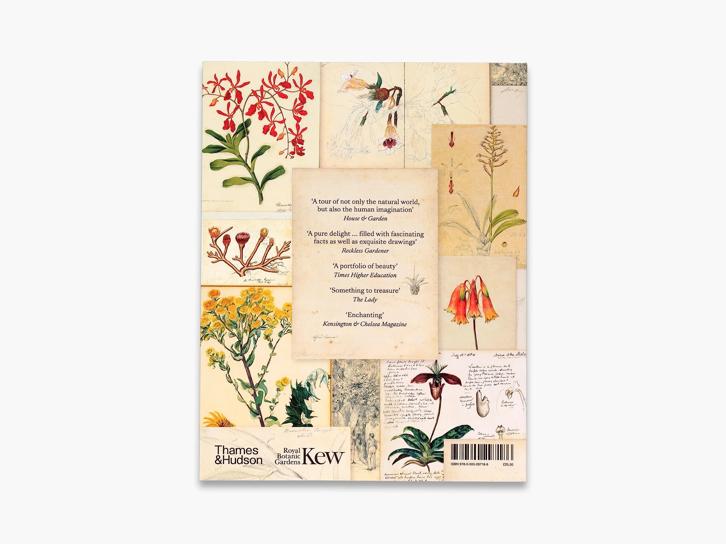 Botanical Sketchbooks (paperback) /anglais