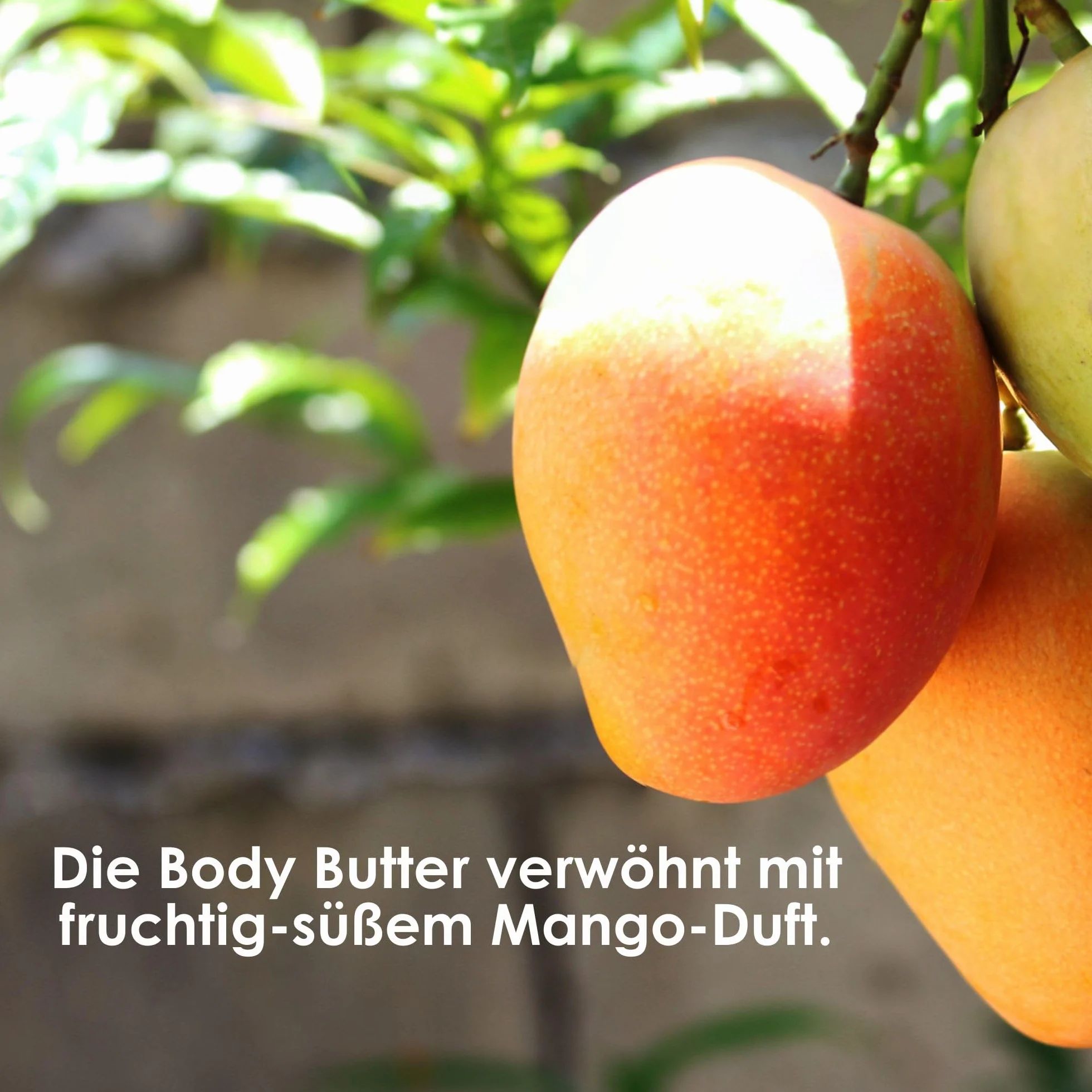 Jean & Len Egzotyczne masło do ciała, mango i awokado, intensywnie pielęgnuje suchą i bardzo suchą skórę, doskonałe pH skóry, o egzotycznym zapachu mango, masło do ciała, bez parabenów i silikonów,