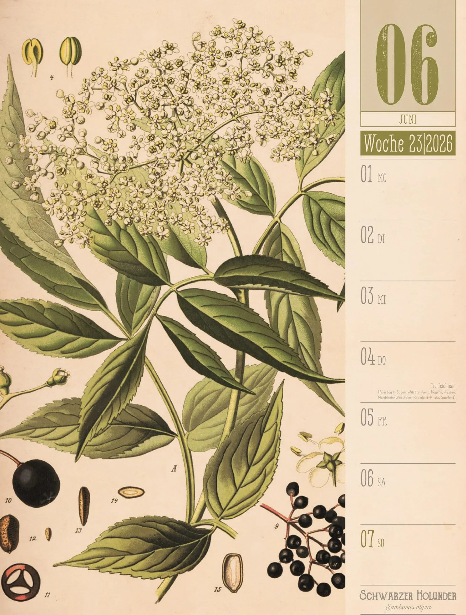 Culinarium Wochenplaner Kalender 2026 | Küche, Kräuter, Kurioses: Informativer Küchen-Wochenkalender im Hochformat (25x33 cm) | Vintage & Retro