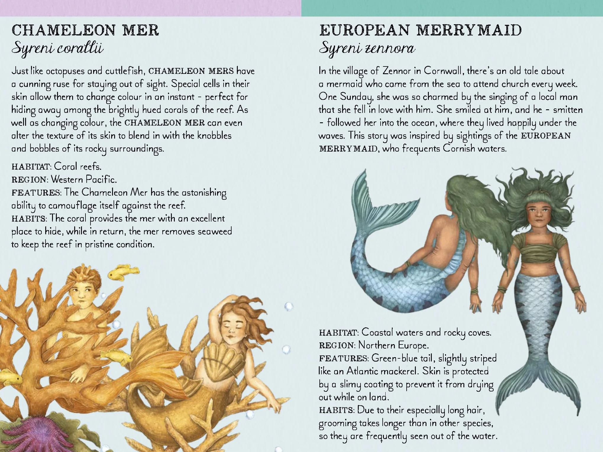 Match the Mermaids: A Memory Game