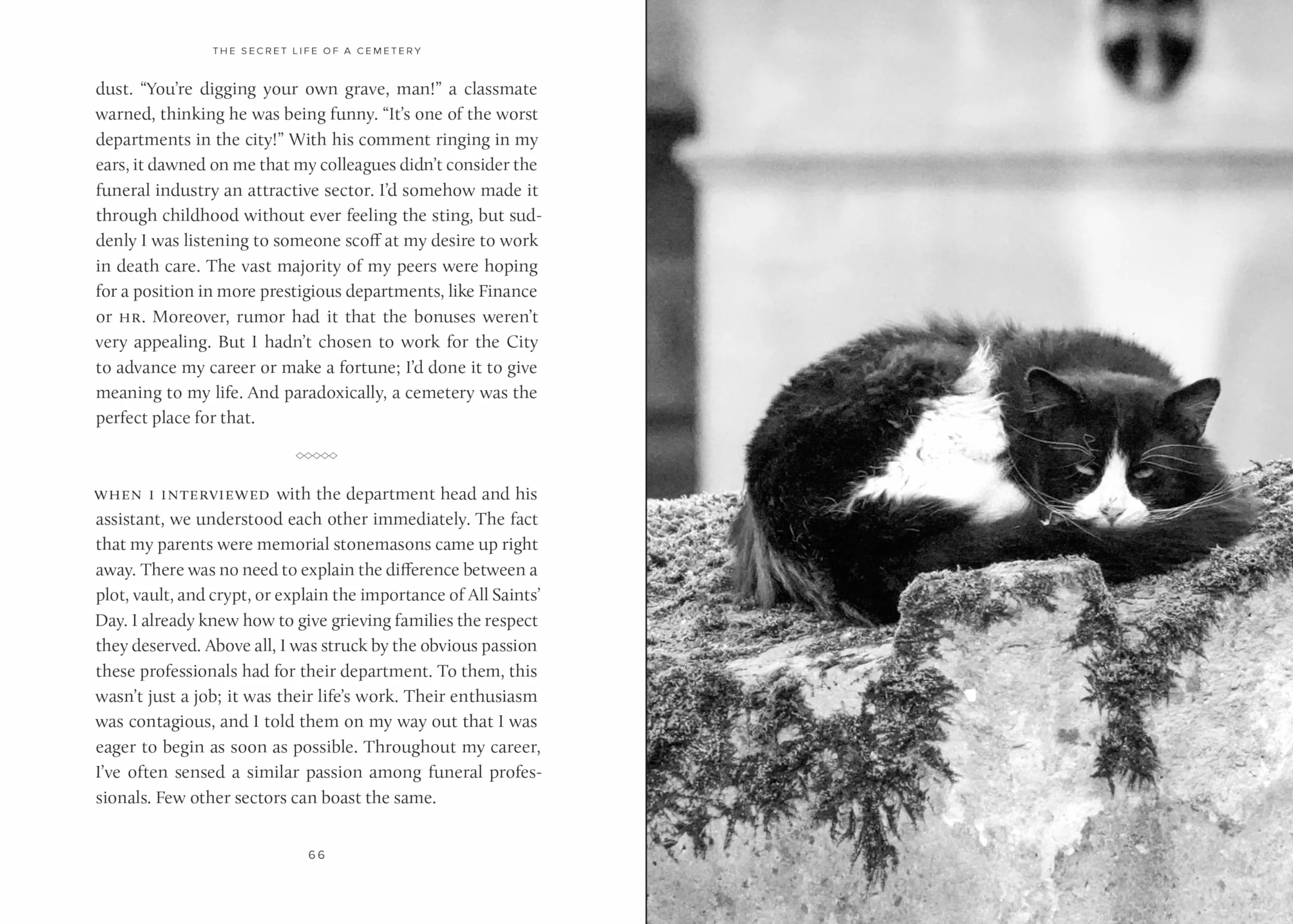 The Secret Life of a Cemetery: The Wild Nature and Enchanting Lore of Père-Lachaise