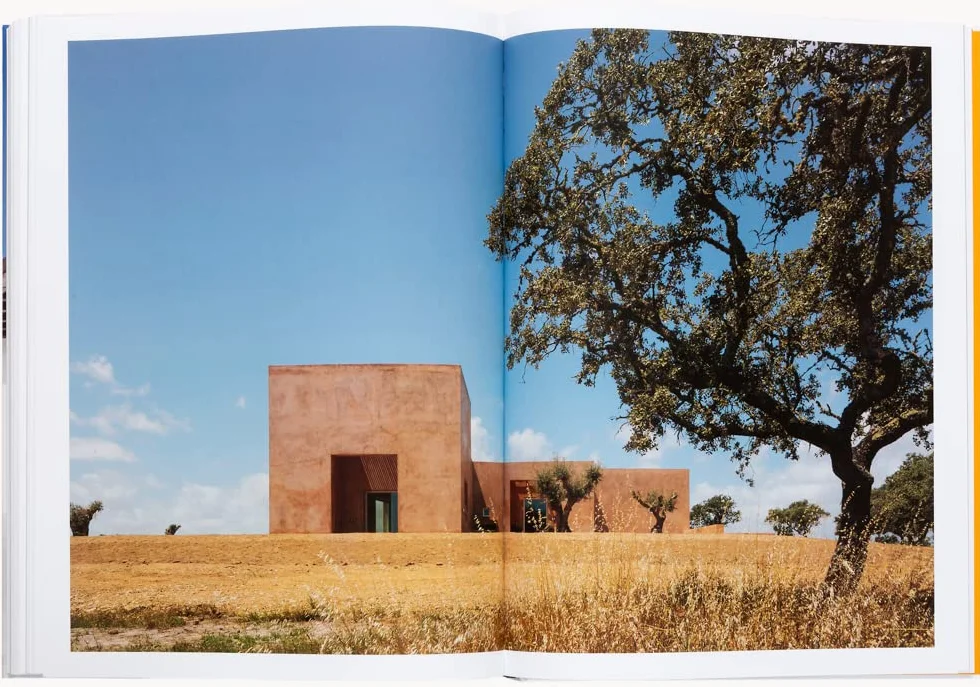 The Mediterranean Home: Residential Architecture and Interiors with a Southern Touch