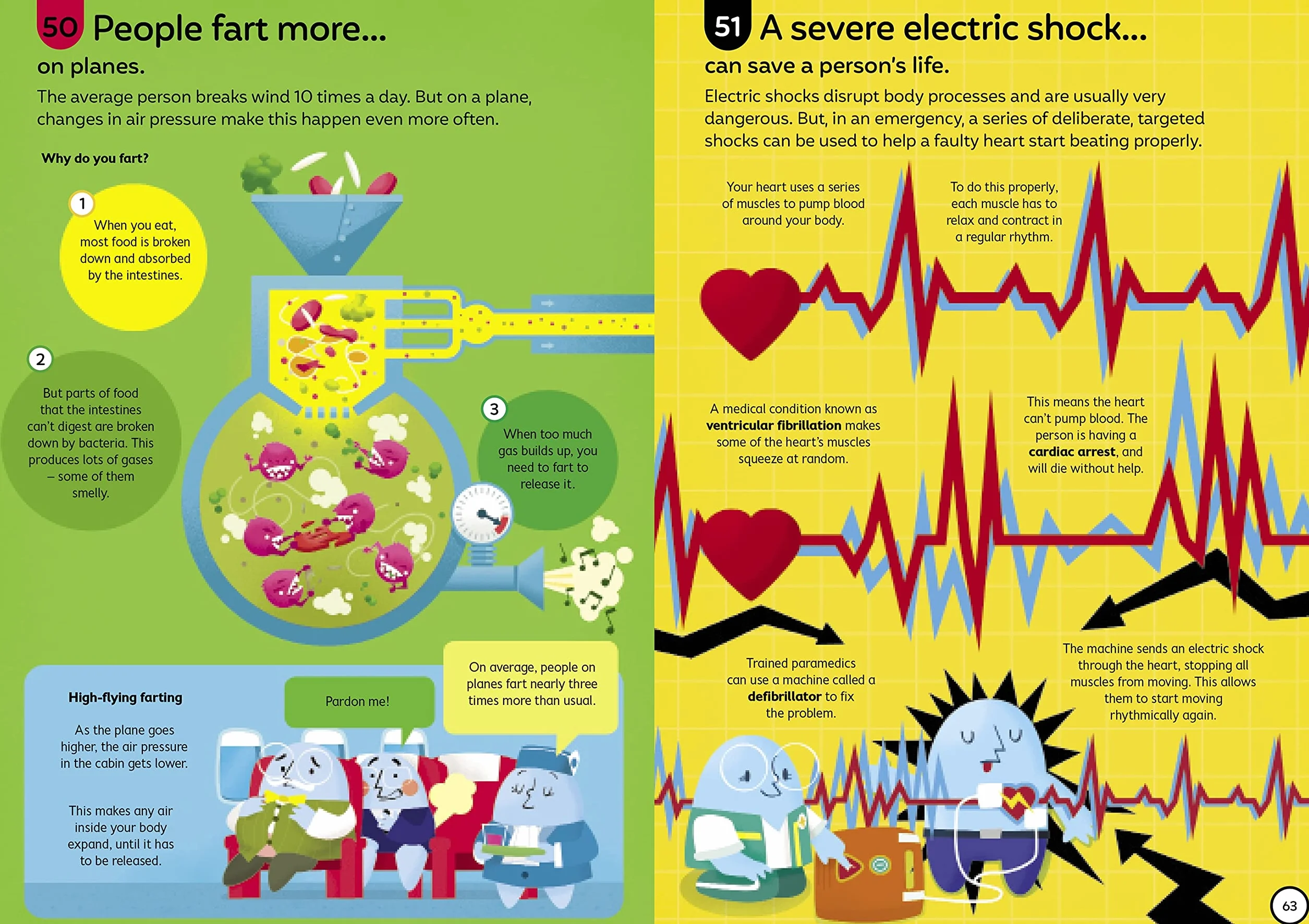 100 Things to Know About the Human Body