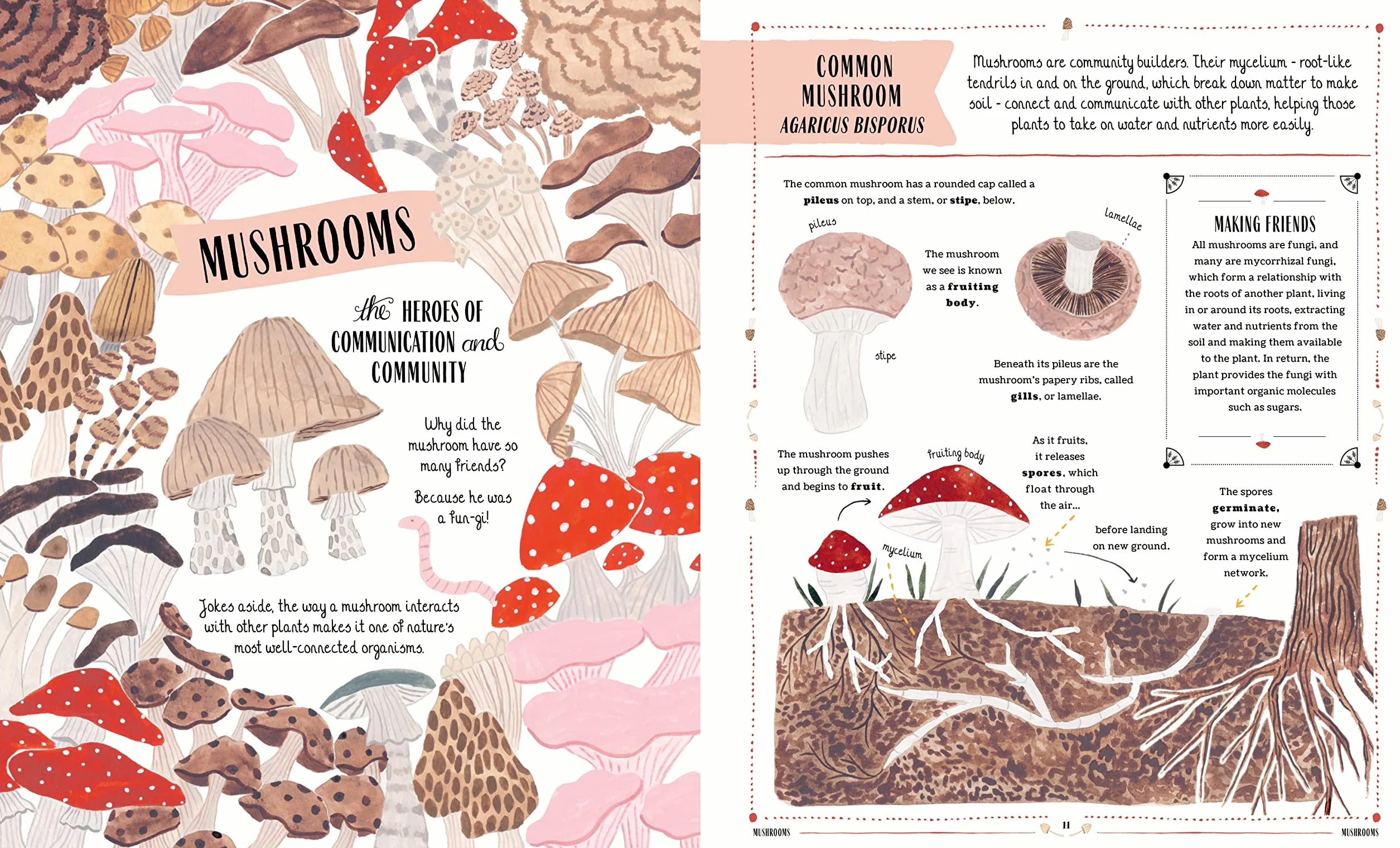 Grow: A first guide to plants and how to grow them