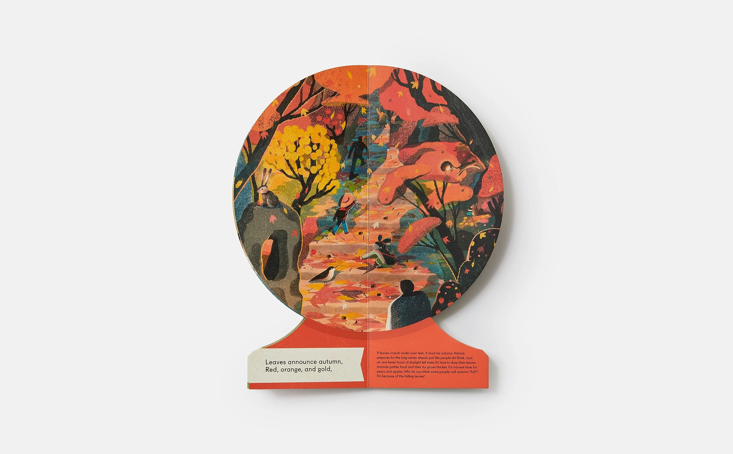 OUR SEASONS: The World in Winter, Spring, Summer, and Autumn