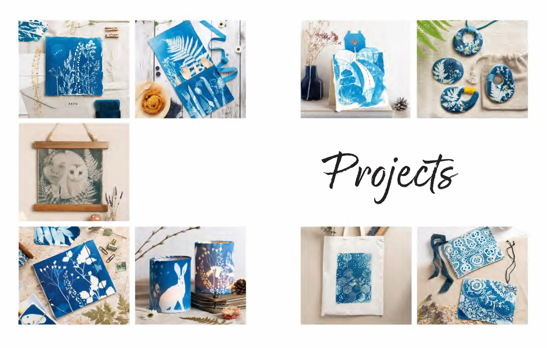 Beginner's Guide to Cyanotype: Beautiful Projects to Print with Light