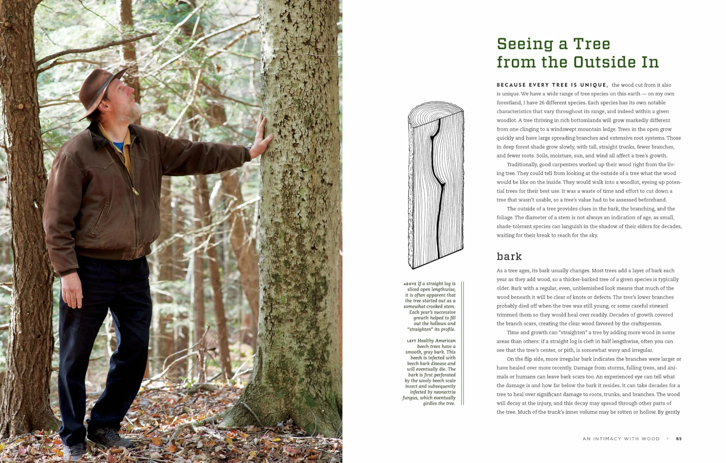 Hand Hewn: The Traditions, Tools, and Enduring Beauty of Timber Framing