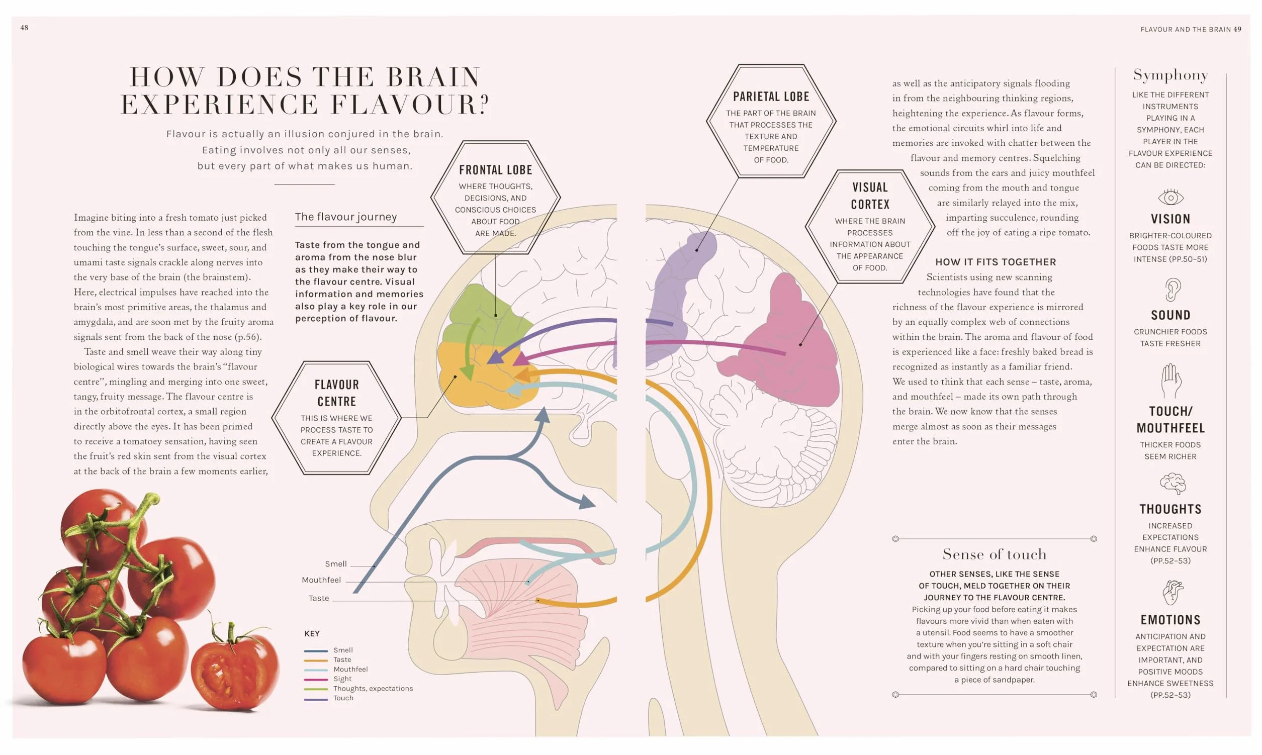 The Science of Flavour: Unlock the Secrets of Flavourful Cooking