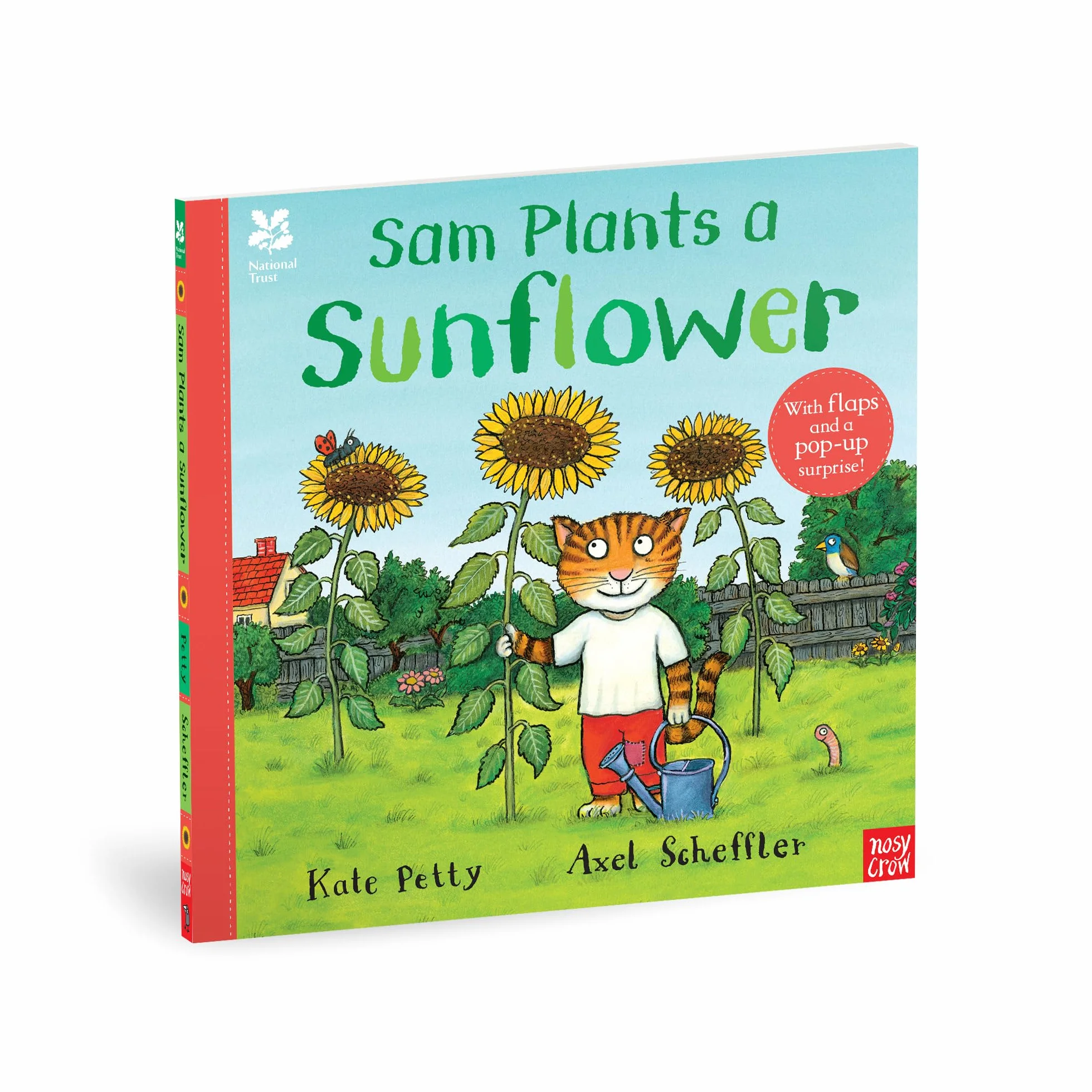 National Trust: Sam Plants a Sunflower