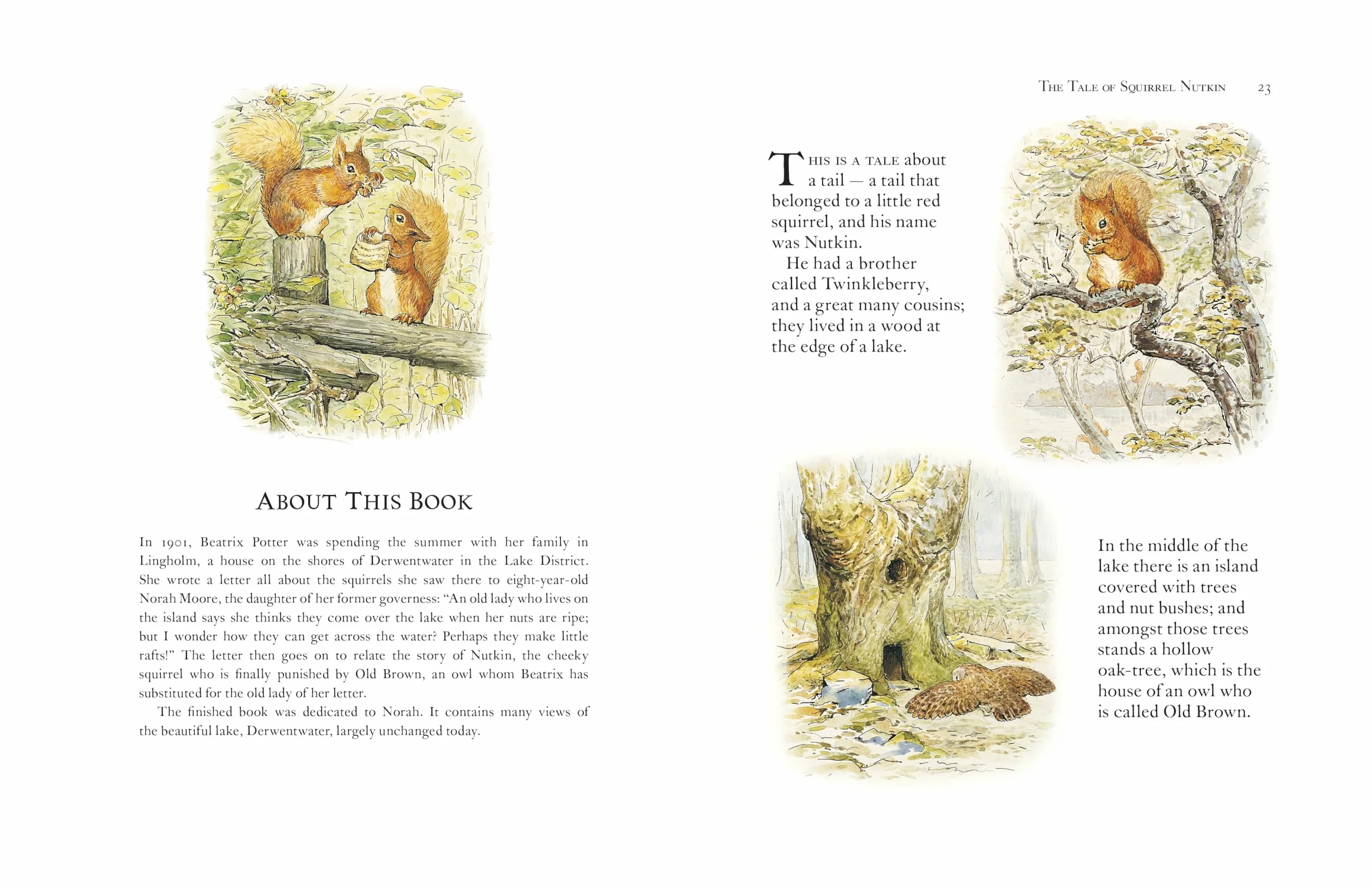 Beatrix Potter the Complete Tales: The Original and authorized editon