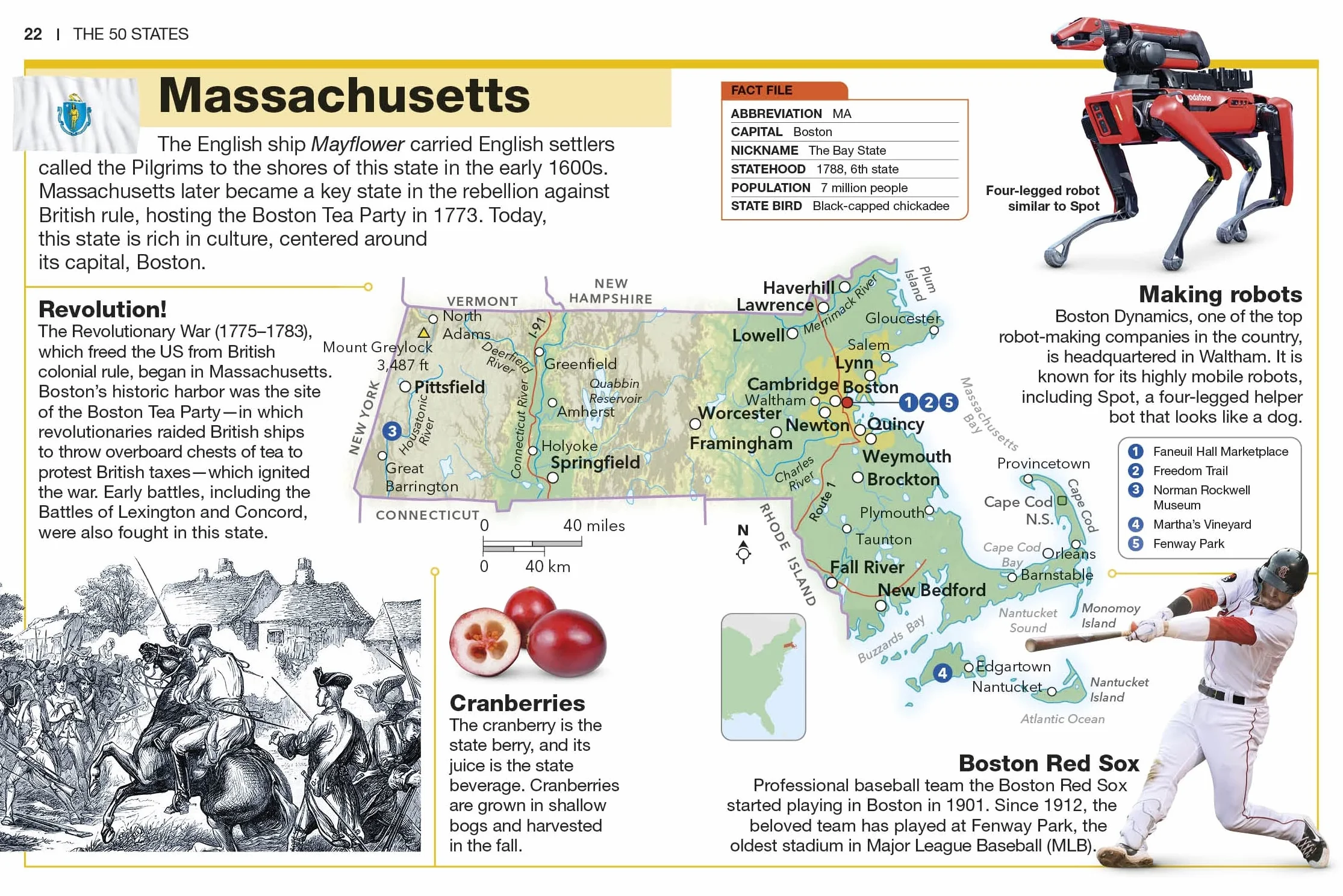 Pocket Genius: The 50 States: Facts at Your Fingertips