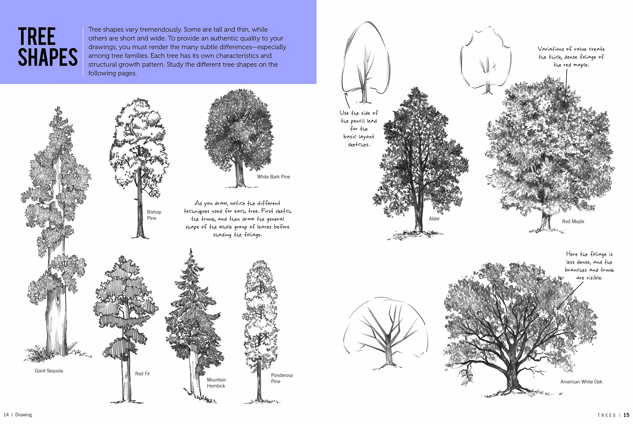 Drawing: Trees with William F. Powell: Learn to Draw Step by Step