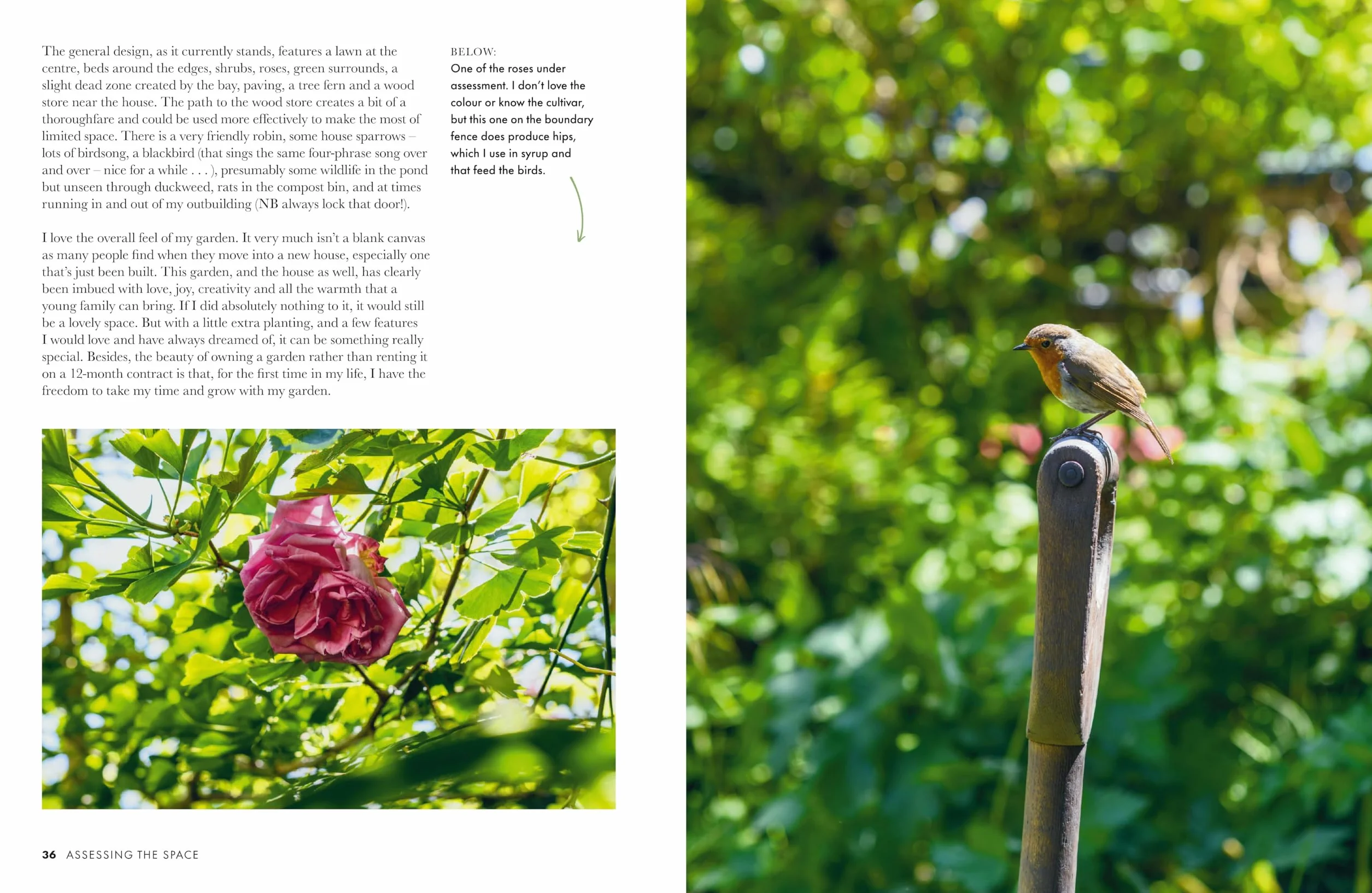 Gardeners' World: A Year in a Small Garden: Creating a Beautiful Garden in Any Space