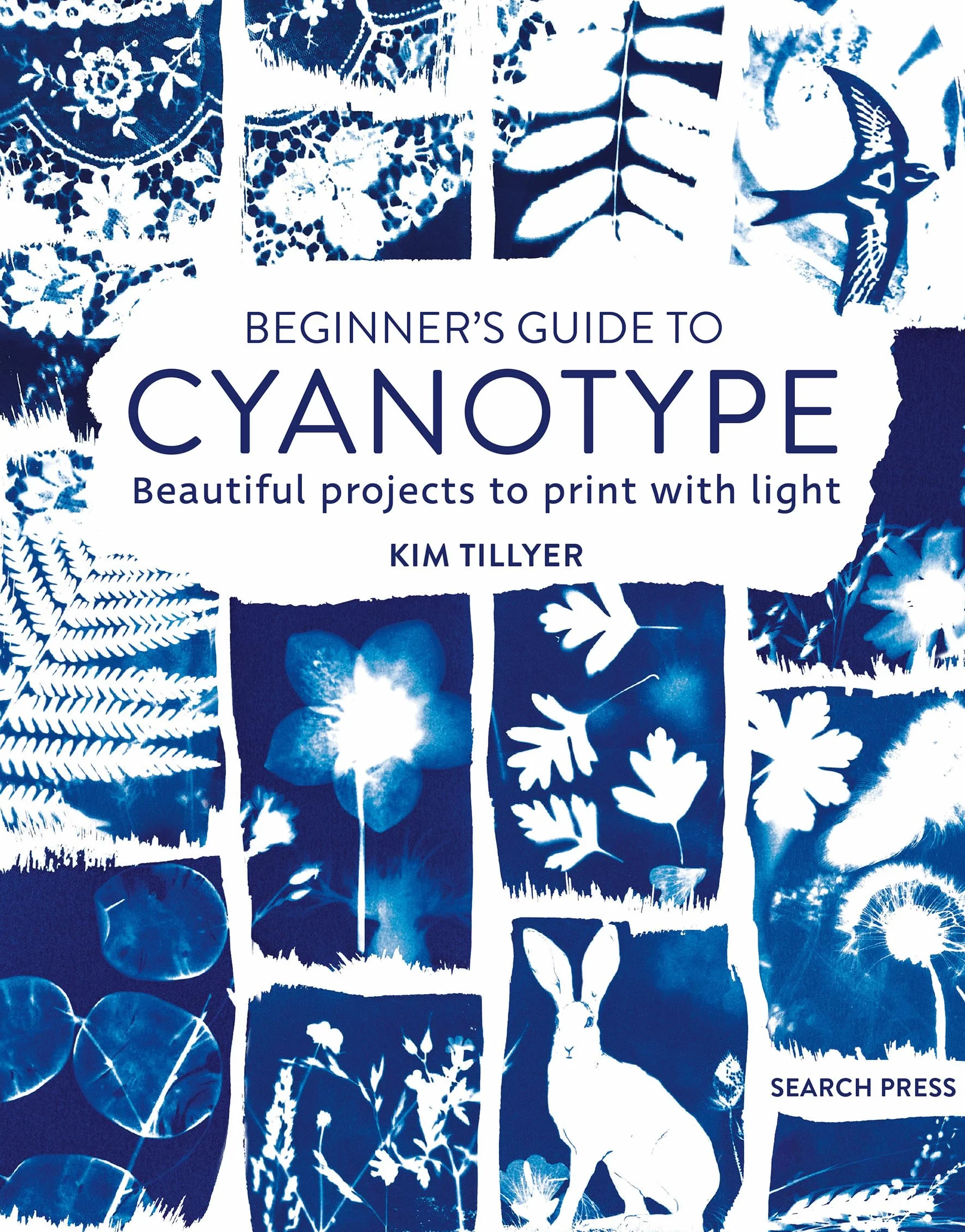 Beginner's Guide to Cyanotype: Beautiful Projects to Print with Light