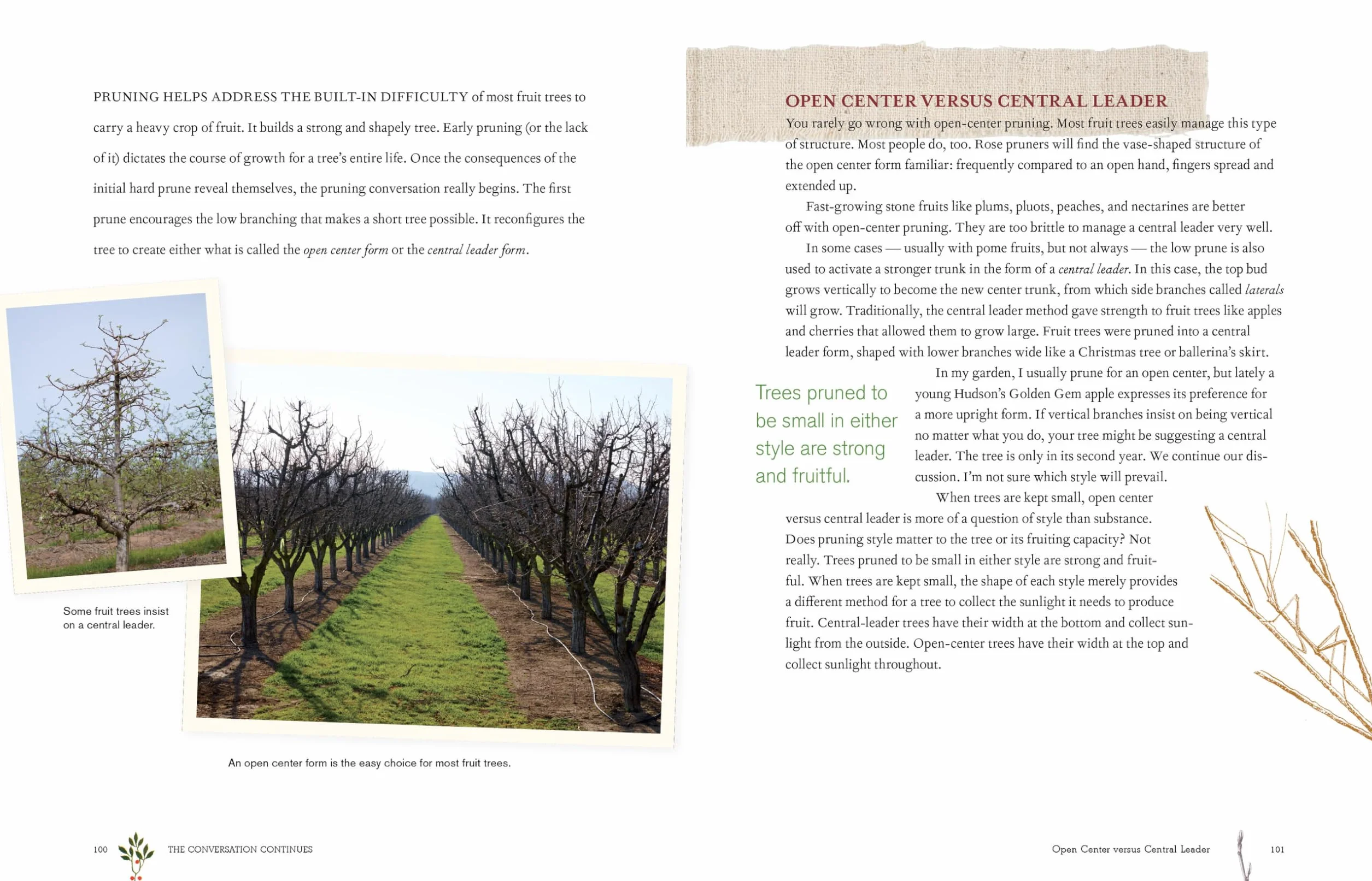 Grow a Little Fruit Tree: Simple Pruning Techniques for Small-Space, Easy-Harvest Fruit Trees