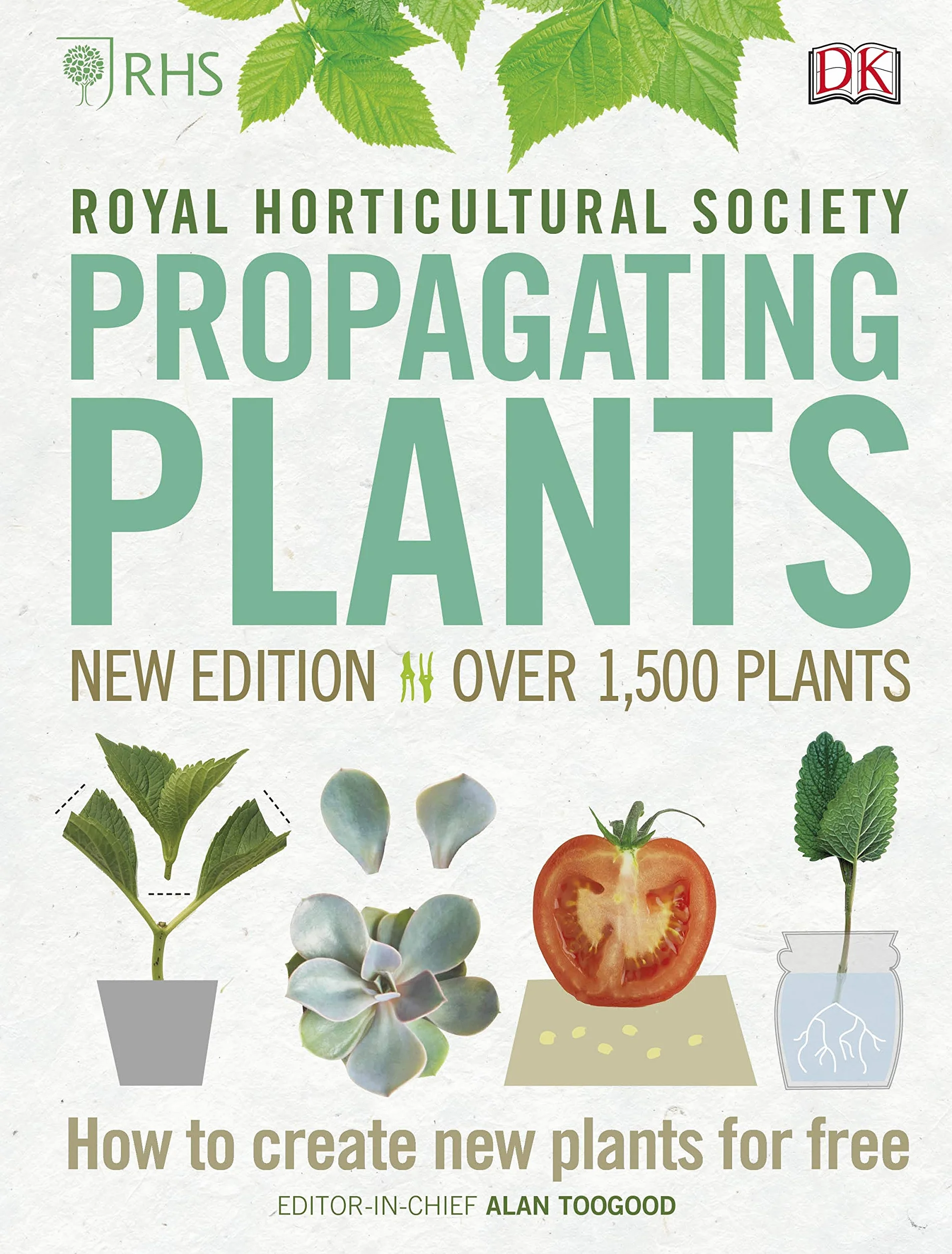 RHS Propagating Plants: How to Create New Plants For Free