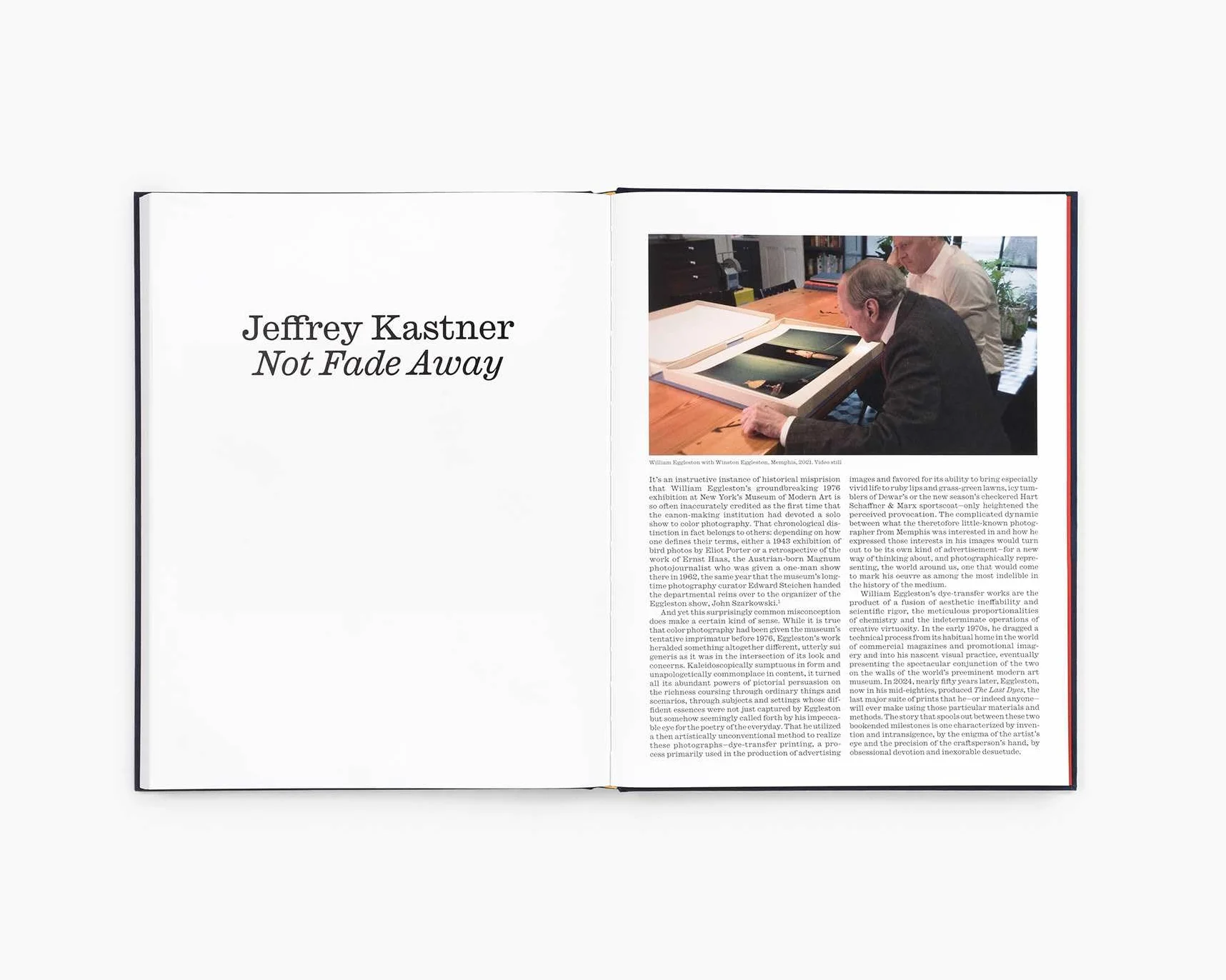 William Eggleston The Last Dyes /anglais