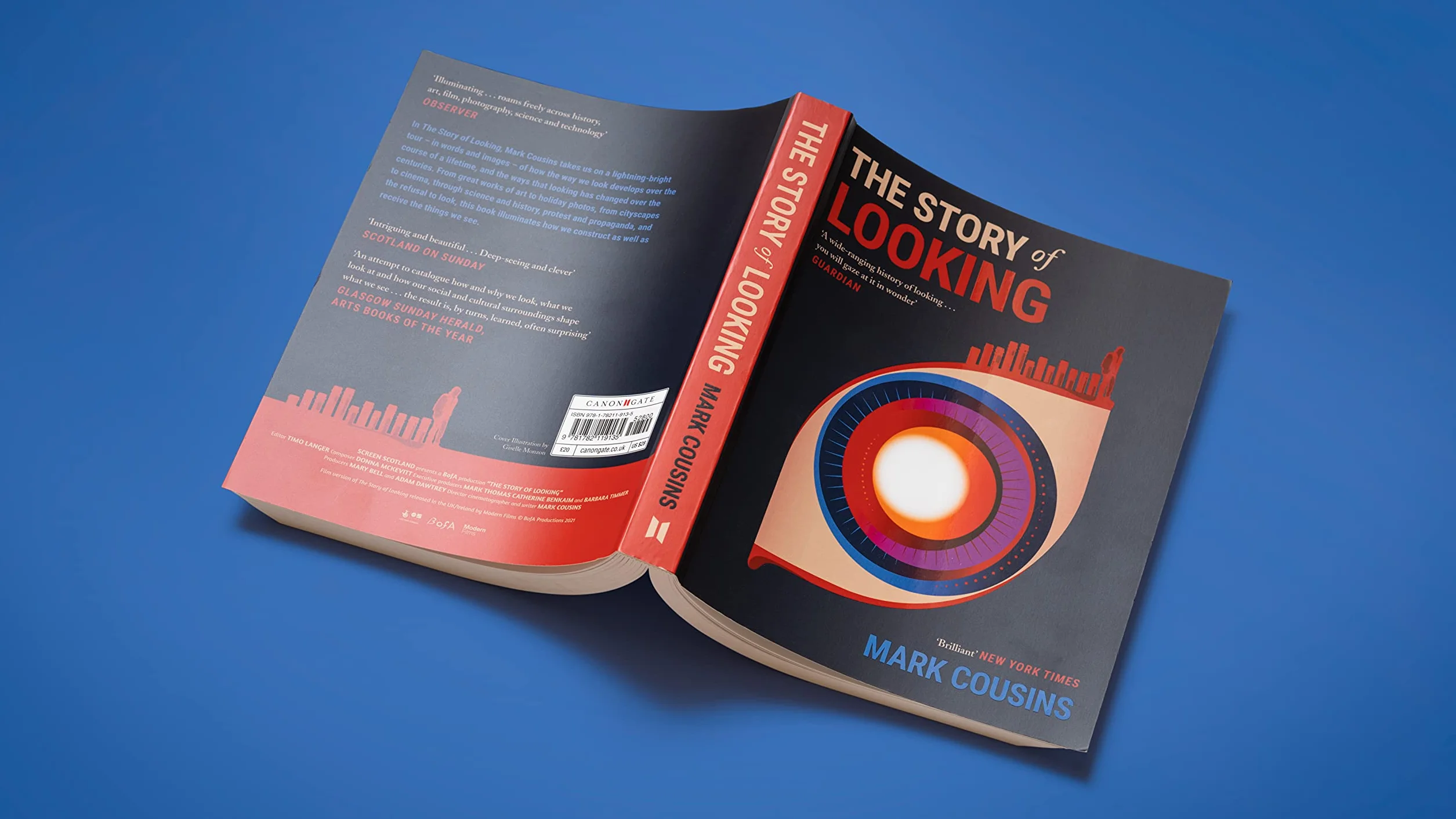 The Story of Looking