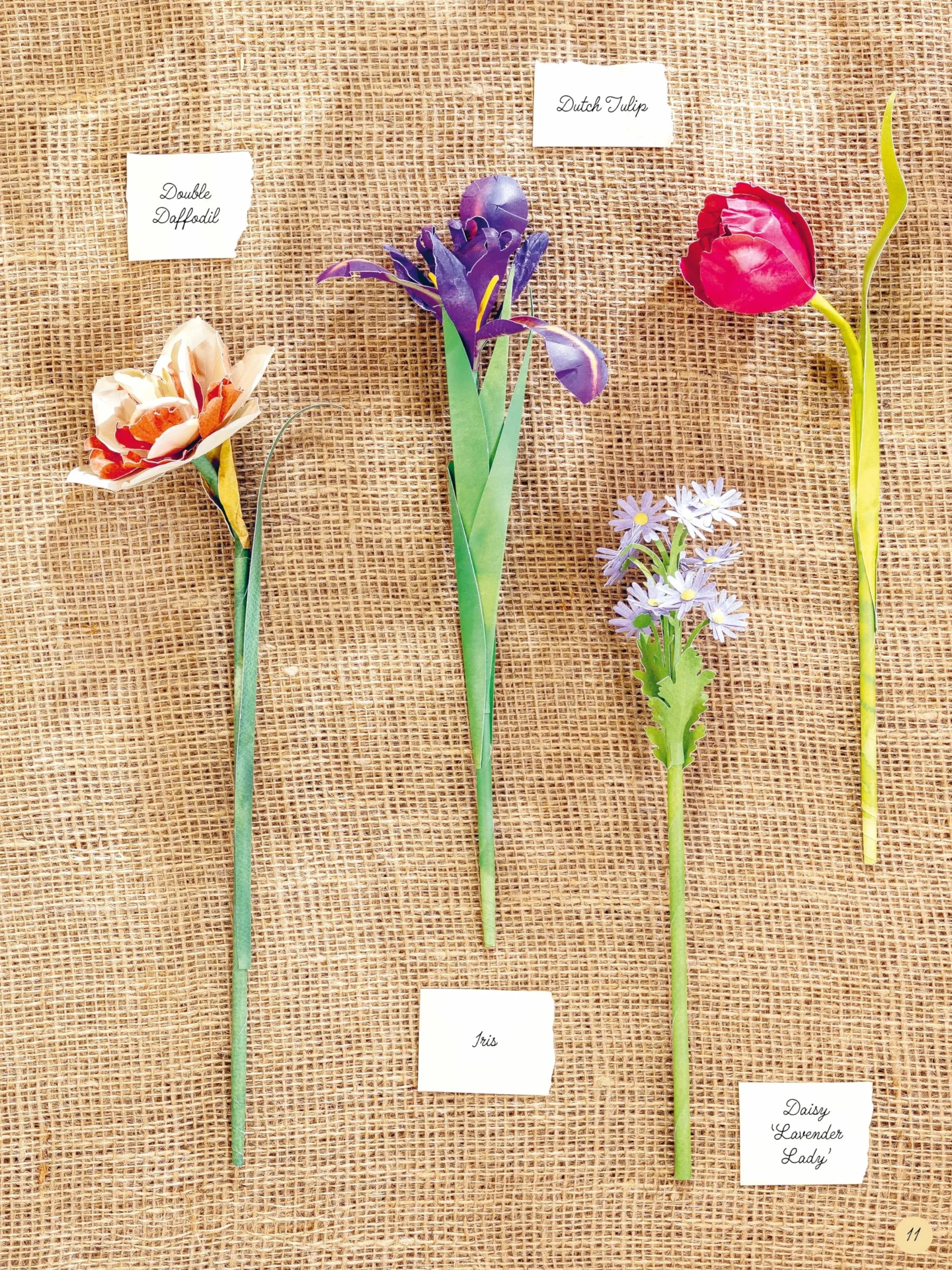 The Bouquet in a Book: Spring: Pre-Punched Pages to Press Out and Make Paper Flowers: 3