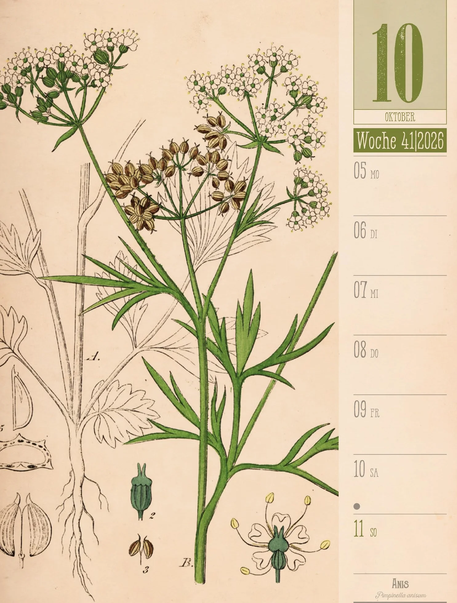 Culinarium Wochenplaner Kalender 2026 | Küche, Kräuter, Kurioses: Informativer Küchen-Wochenkalender im Hochformat (25x33 cm) | Vintage & Retro