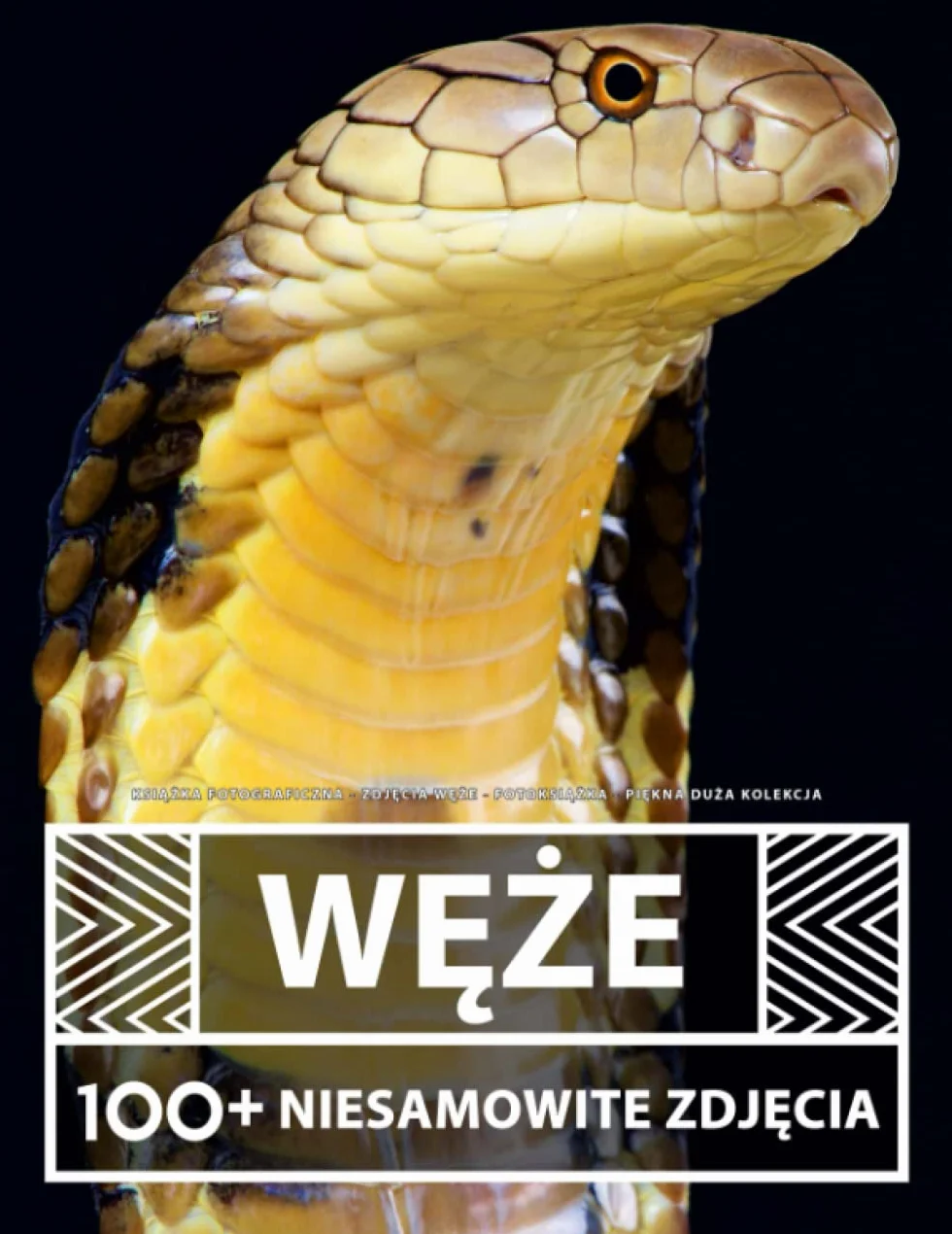 Książka Fotograficzna - Zdjęcia Węże - Piękna Duża Kolekcja: 100+ Niesamowitych Obrazów - Dla Dzieci I Dorosłych