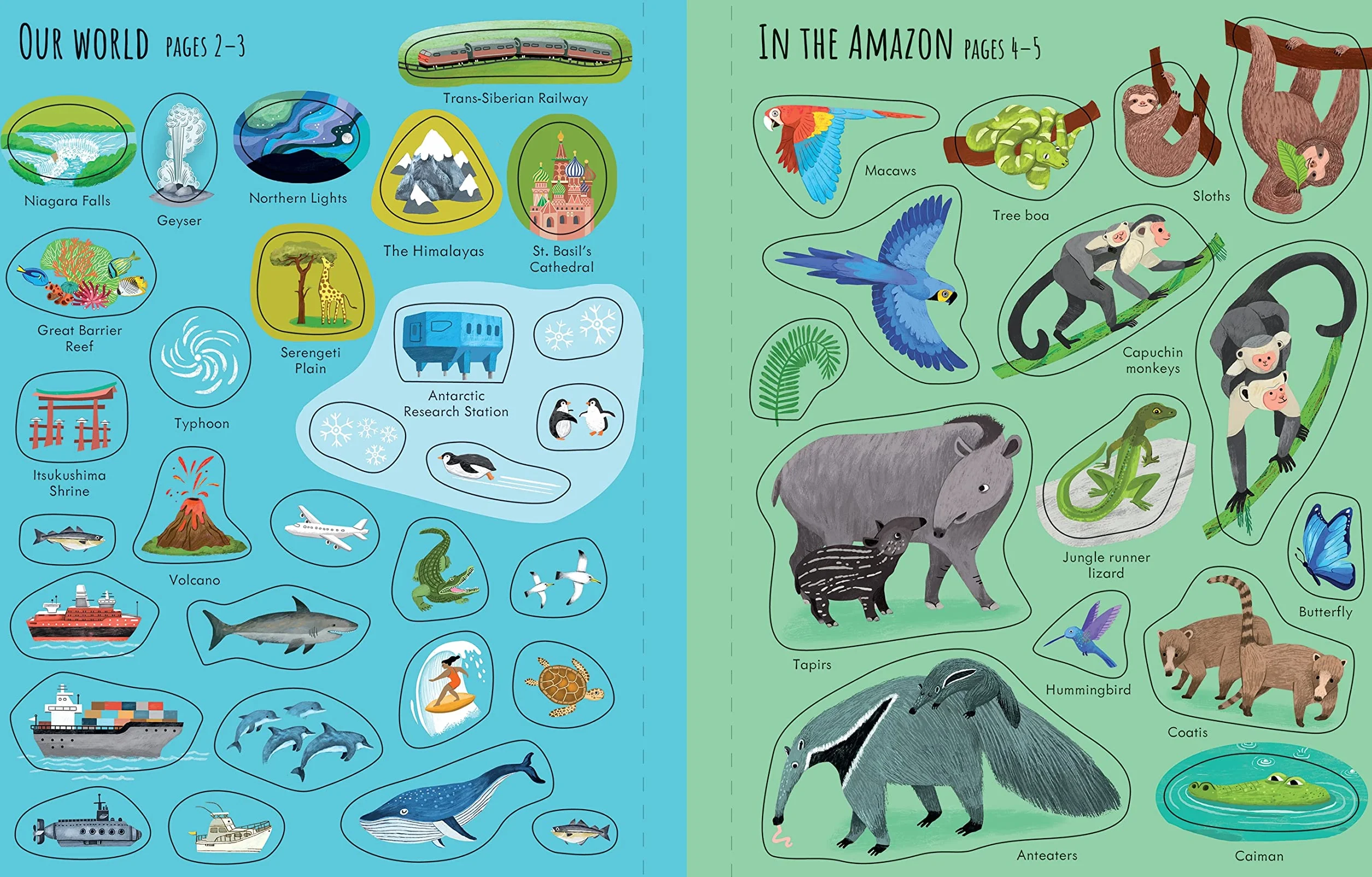 First Sticker Book Planet Earth (First Sticker Books)