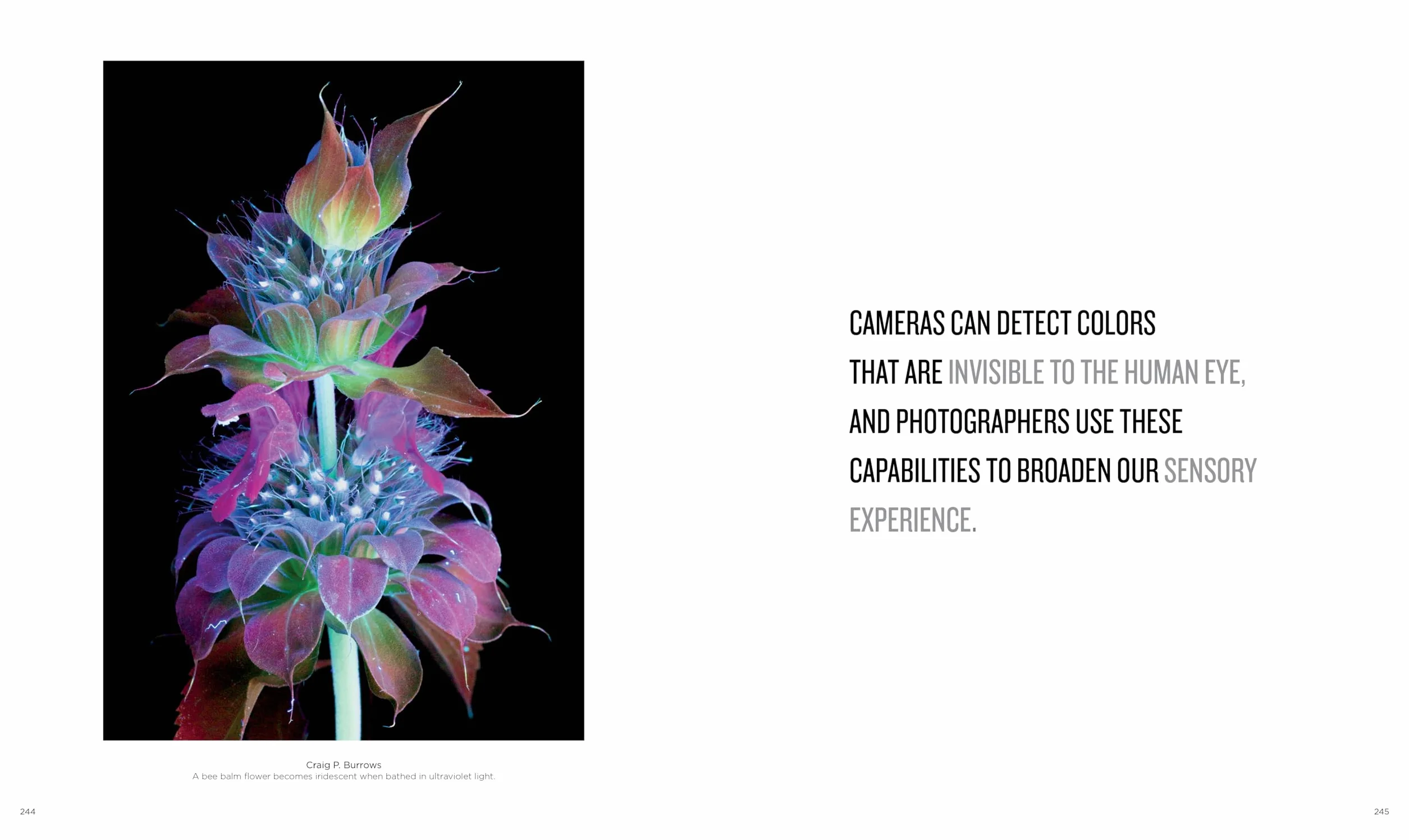 National Geographic Invisible Wonders: Photographs of the Hidden World