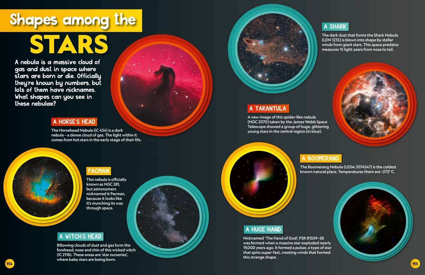 Weird but true! 2026: wild and wacky facts & photos!