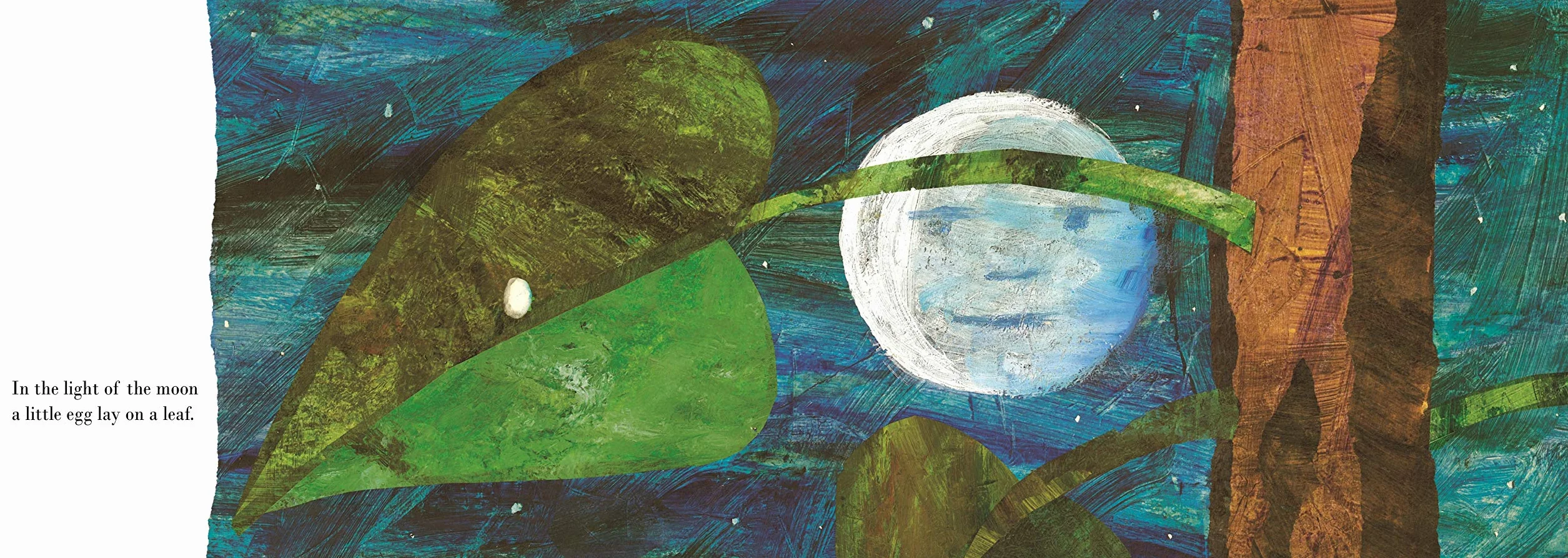 The Very Hungry Caterpillar: Eric Carle