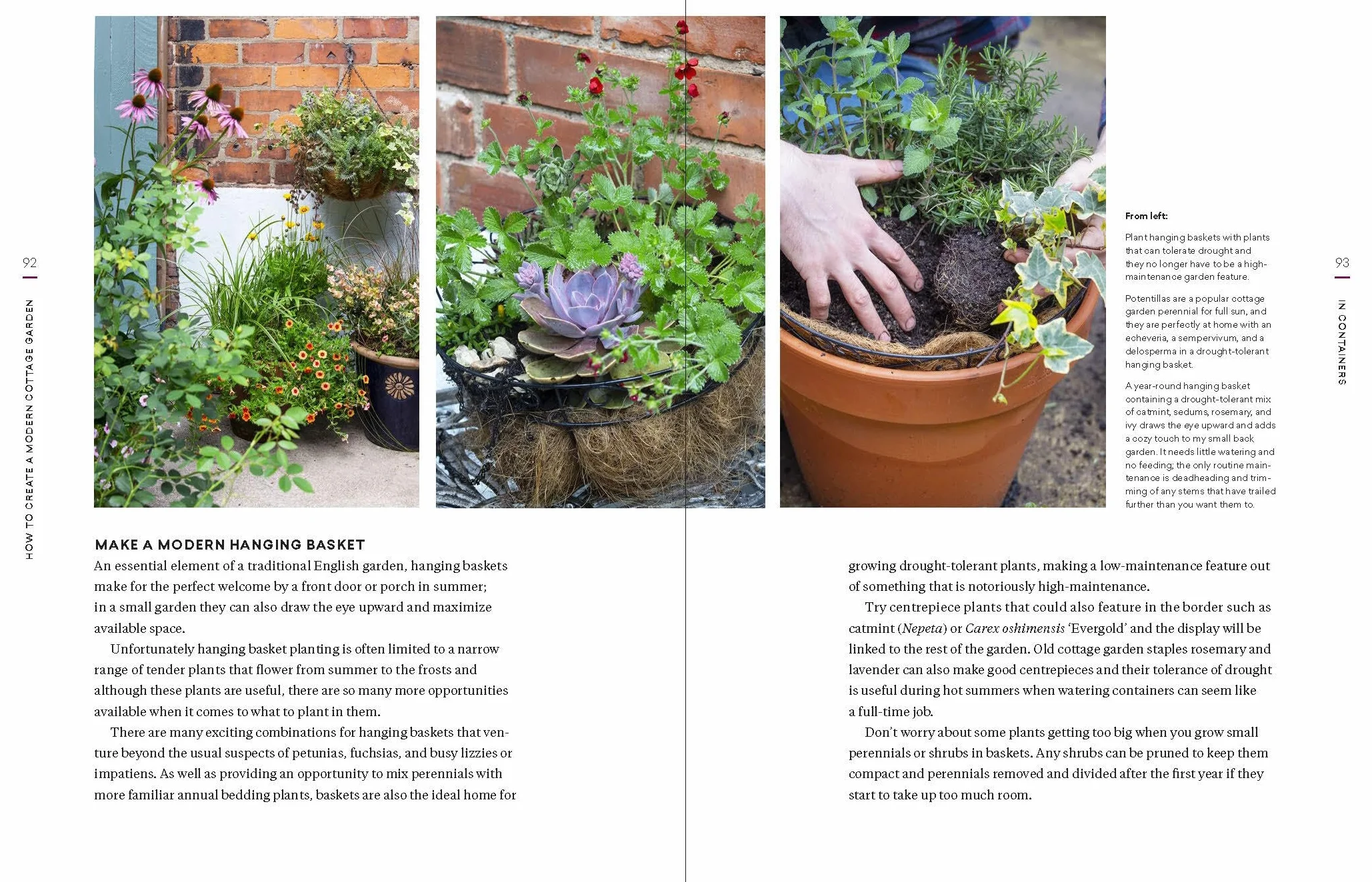 The Modern Cottage Garden: A Fresh Approach to a Classic Style