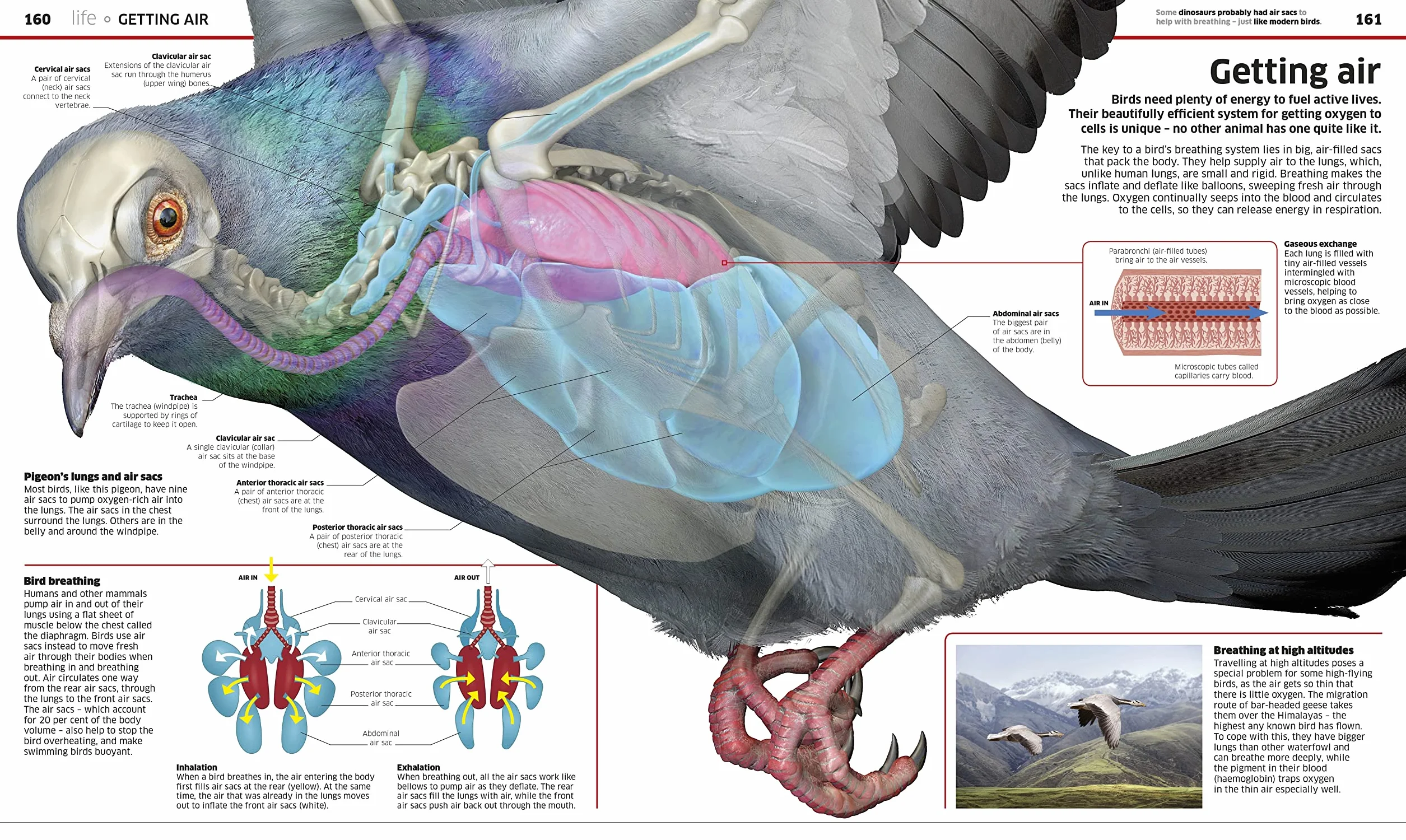 Knowledge Encyclopedia Science!