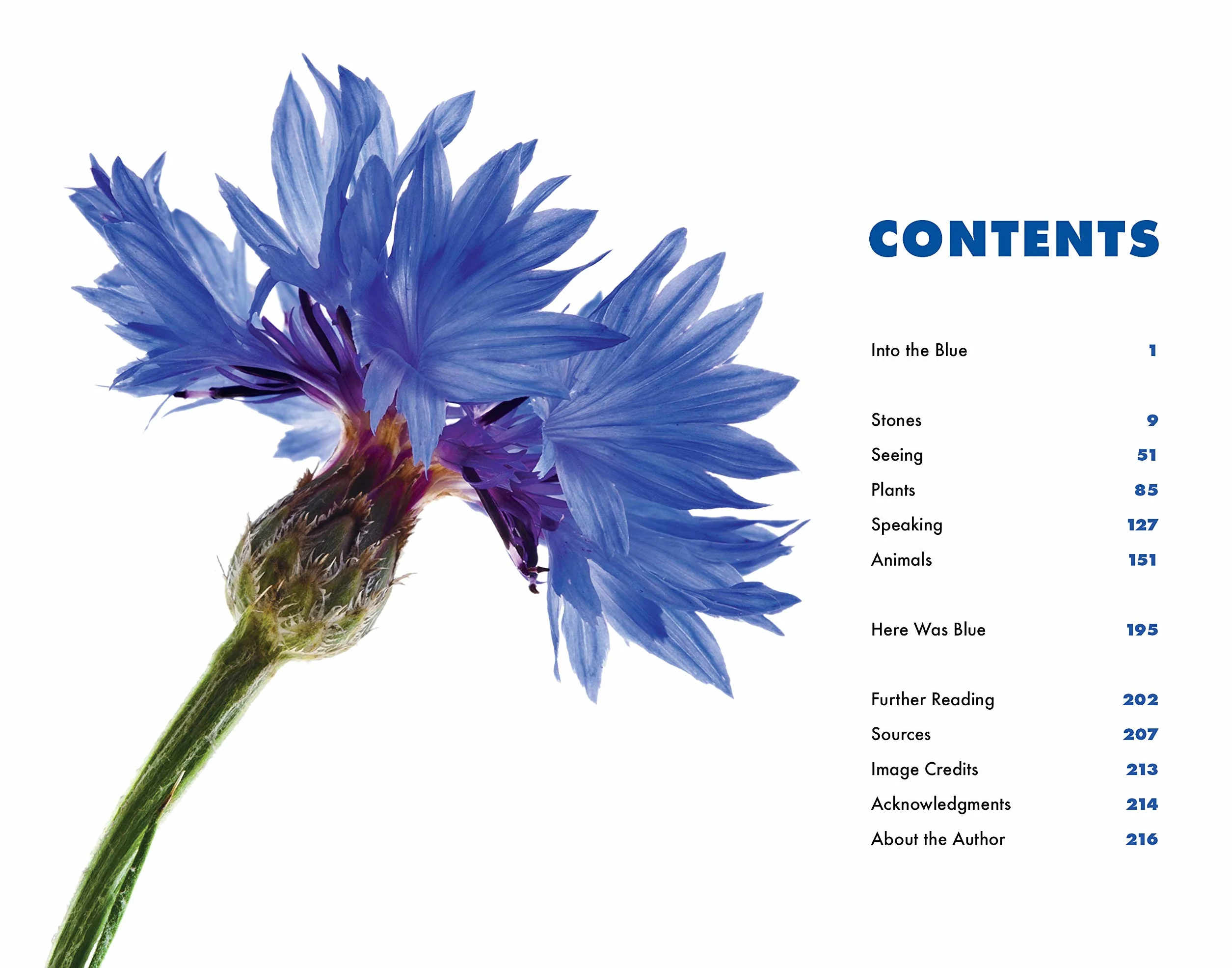 Blue: In Search of Nature's Rarest Color