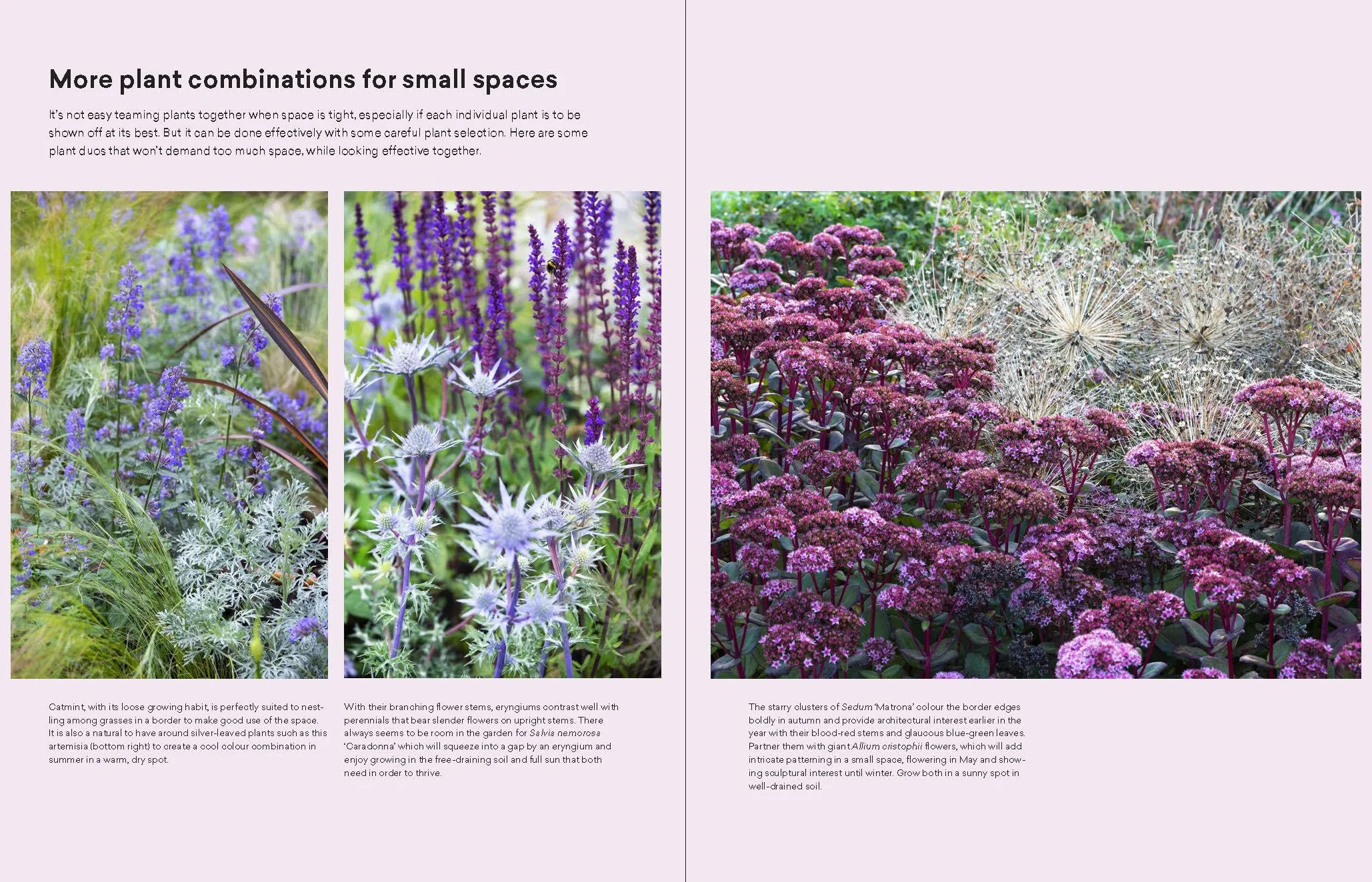 The Modern Cottage Garden: A Fresh Approach to a Classic Style