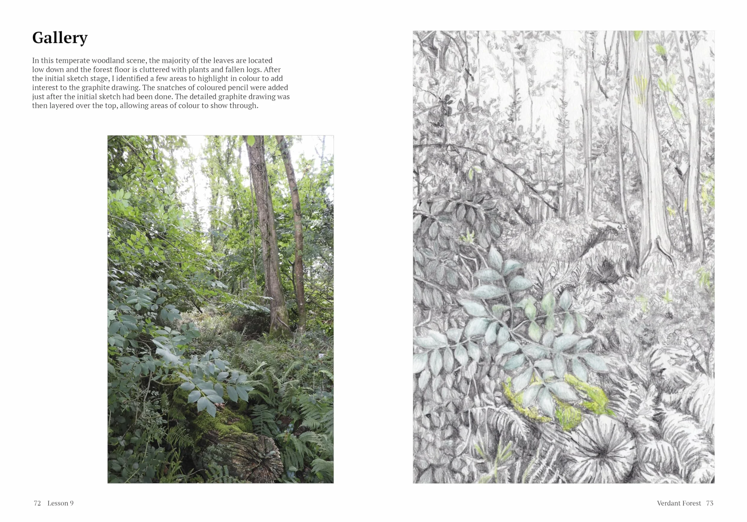 How to Draw a Tree: From the Fruit to the Forest: A Step-By-Step Course for the Nature Artist