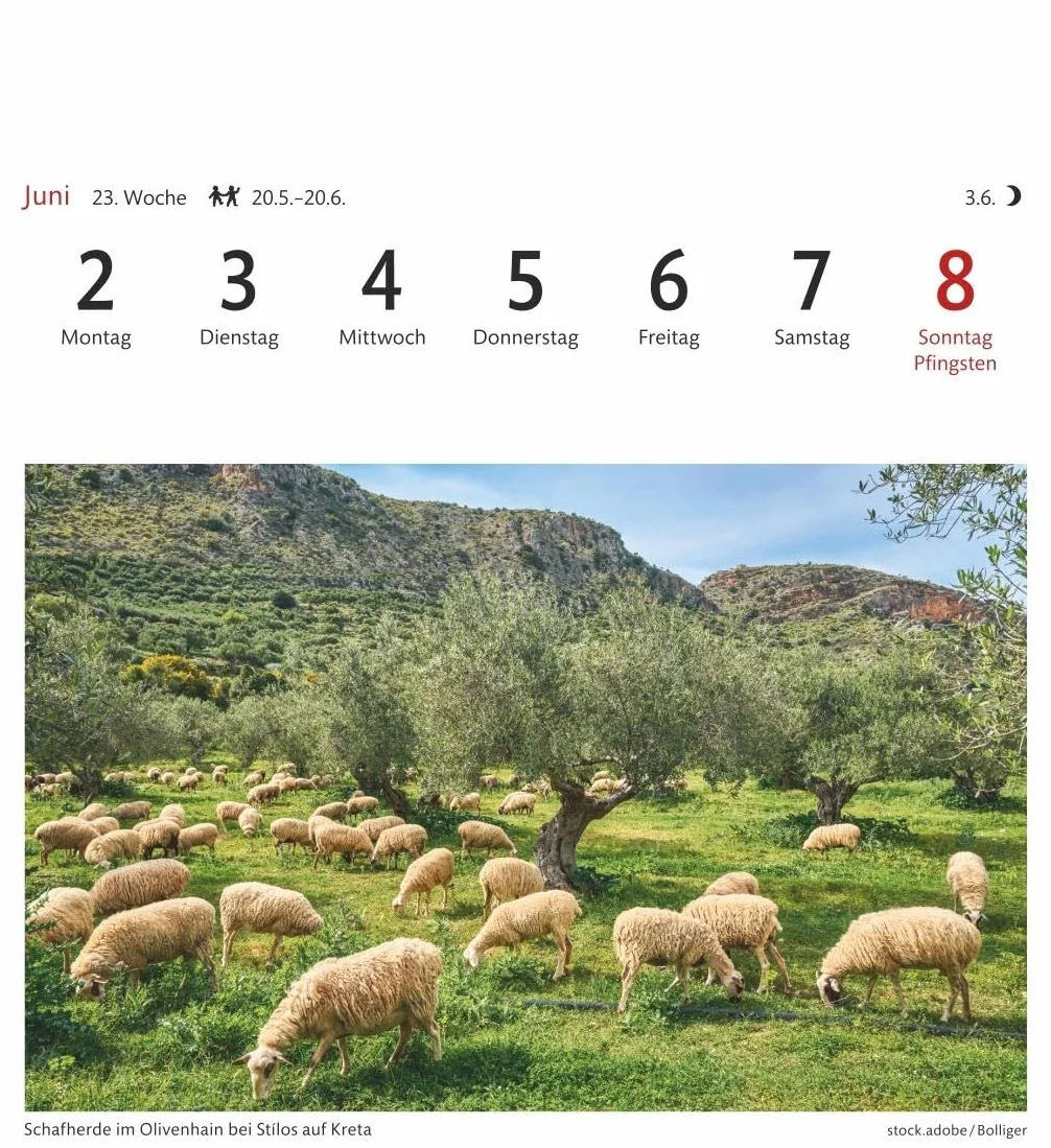 Griechische Inseln Sehnsuchtskalender 2025 - Wochenkalender mit 53 Postkarten: Reise-Kalender mit 53 hochwertigen Postkarten der schönsten Plätze Griechenlands. Postkartenkalender 2025. 16 x 17,5 cm