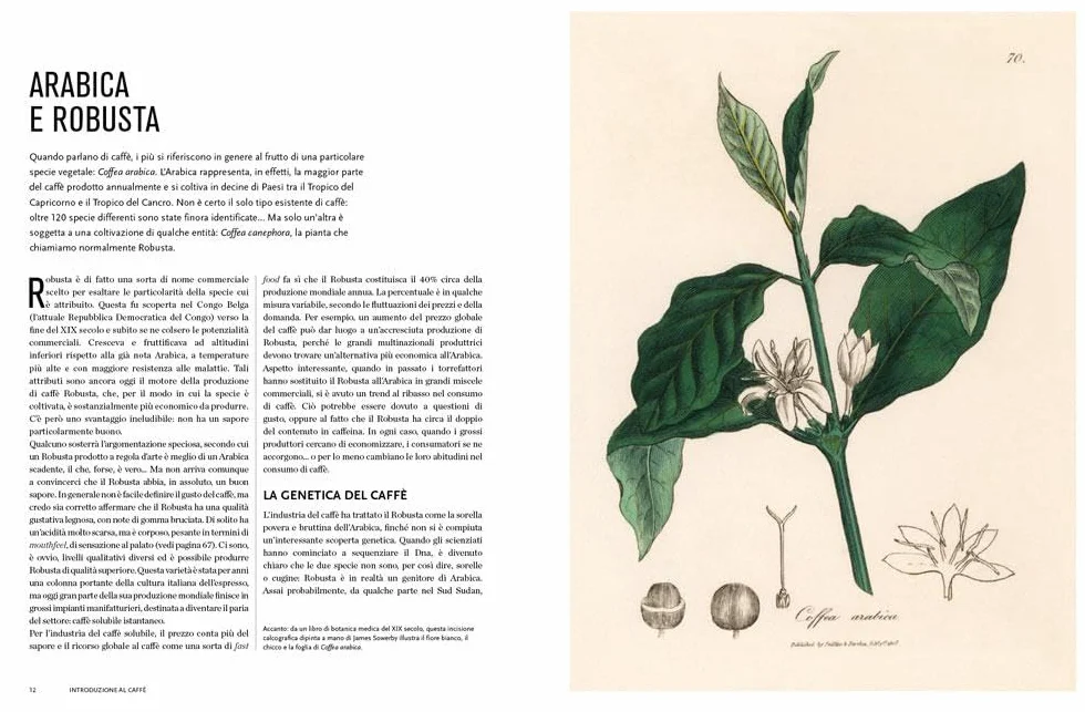 Il mondo del caffè. Storia, produzione, geografia, cultura