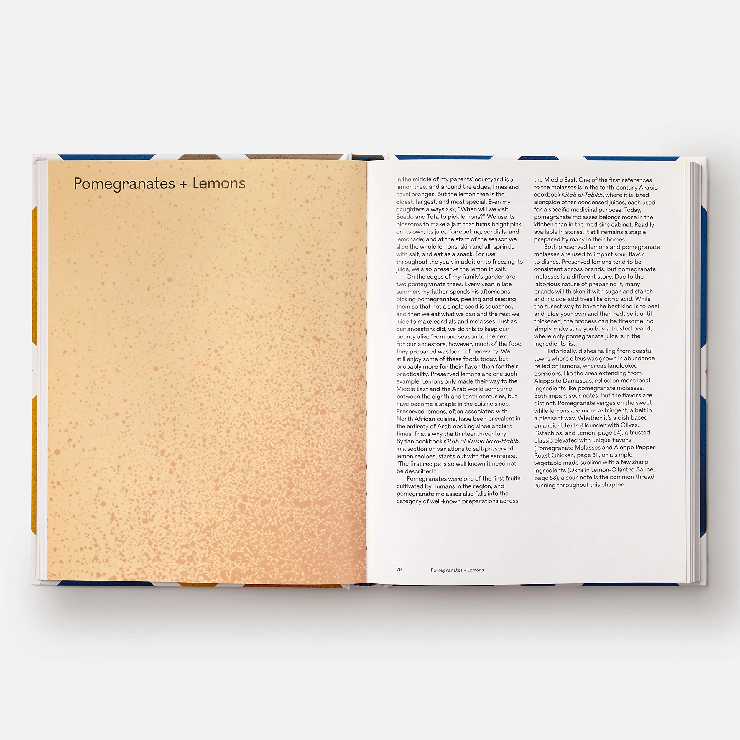 The Arabesque Table: Contemporary Recipes from the Arab World