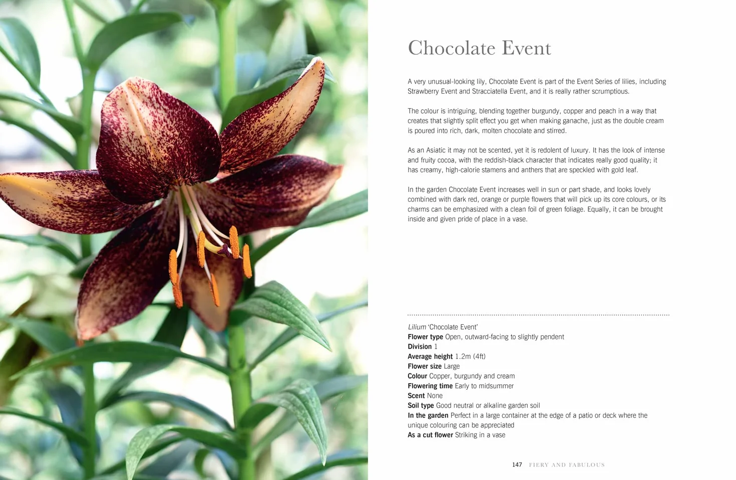 Lilies: The ultimate flower guide for growing, flowering and cutting varieties for the home and gardening