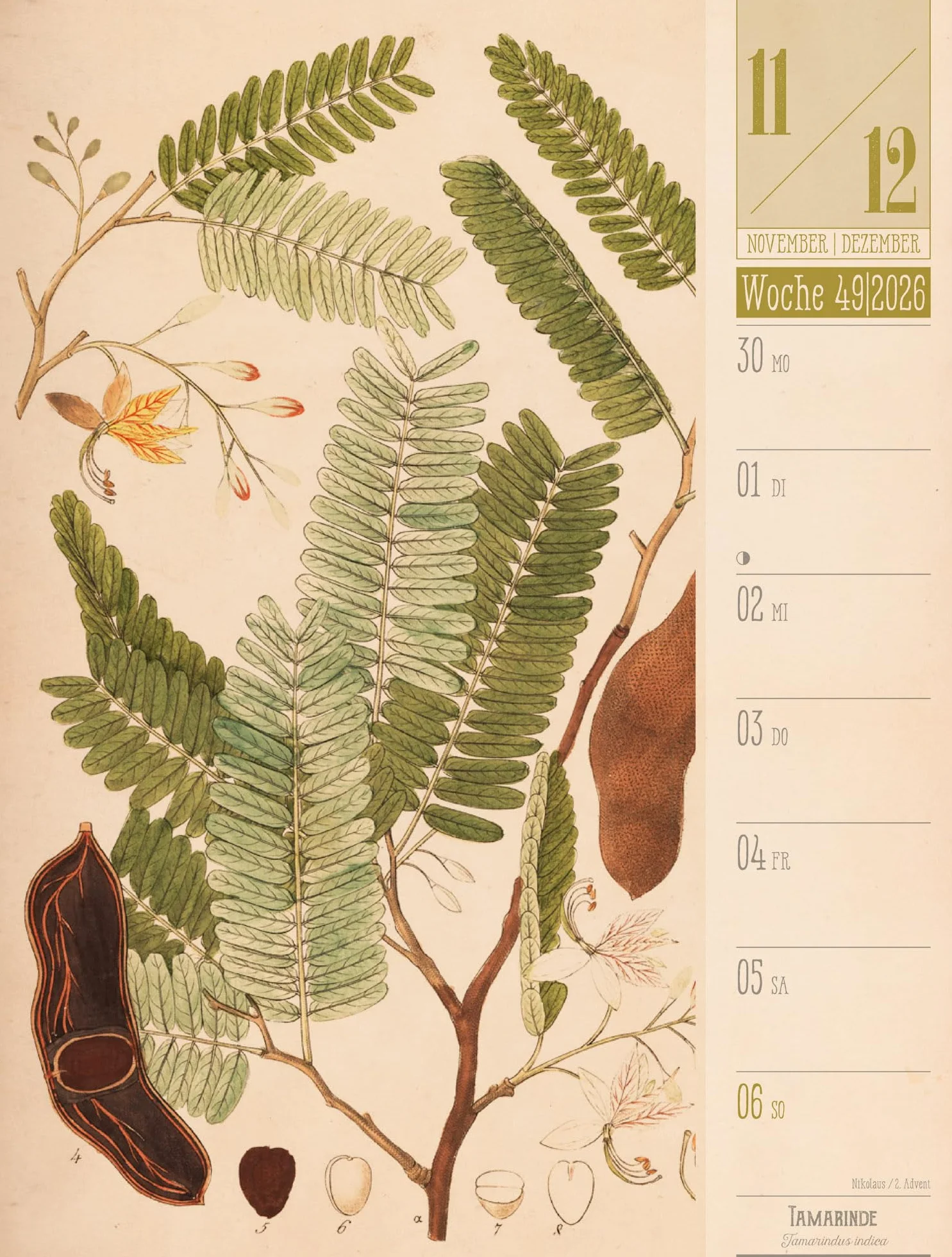 Culinarium Wochenplaner Kalender 2026 | Küche, Kräuter, Kurioses: Informativer Küchen-Wochenkalender im Hochformat (25x33 cm) | Vintage & Retro