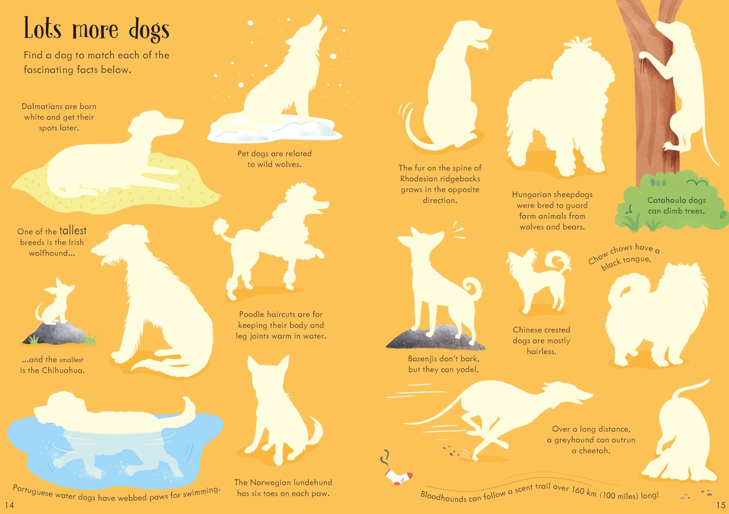Little First Stickers Dogs and Puppies