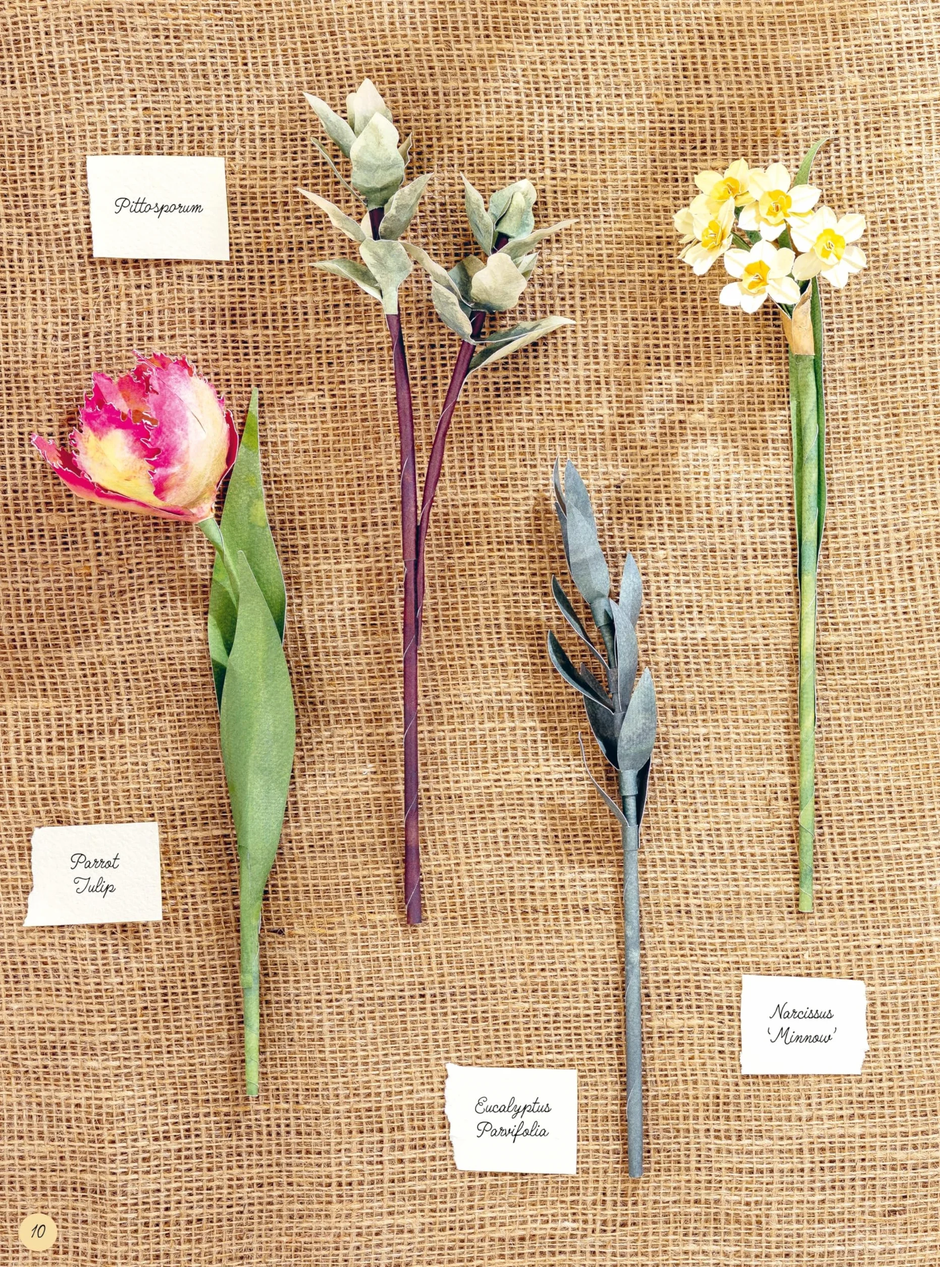 The Bouquet in a Book: Spring: Pre-Punched Pages to Press Out and Make Paper Flowers: 3