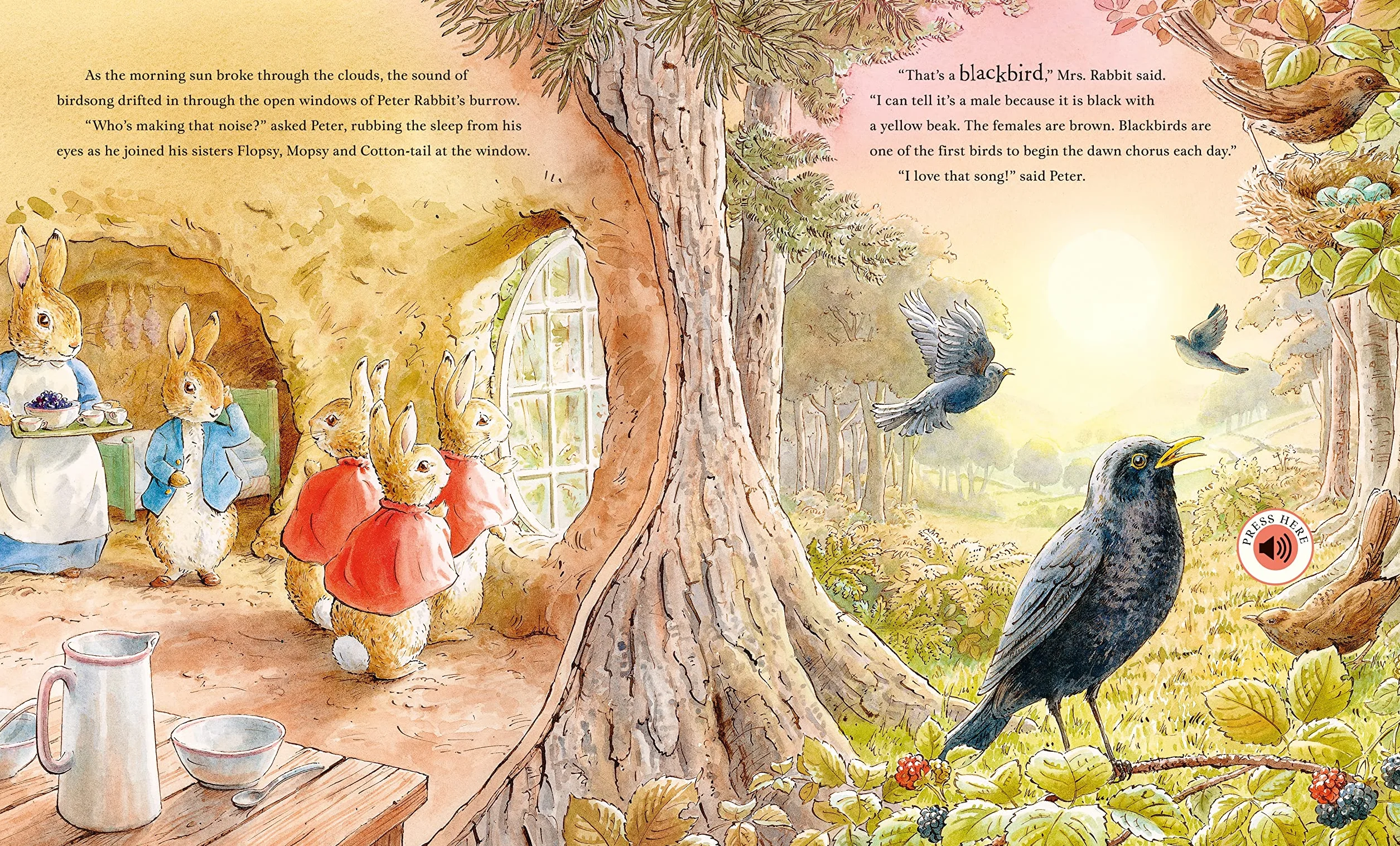 Peter Rabbit: Peter's Nature Walk: A Sound Book