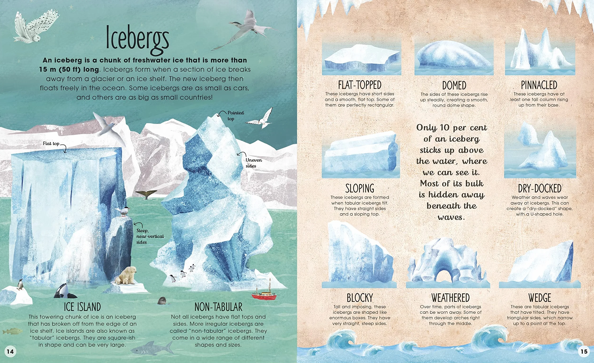 The Frozen Worlds: The Astonishing Nature of the Arctic and Antarctic