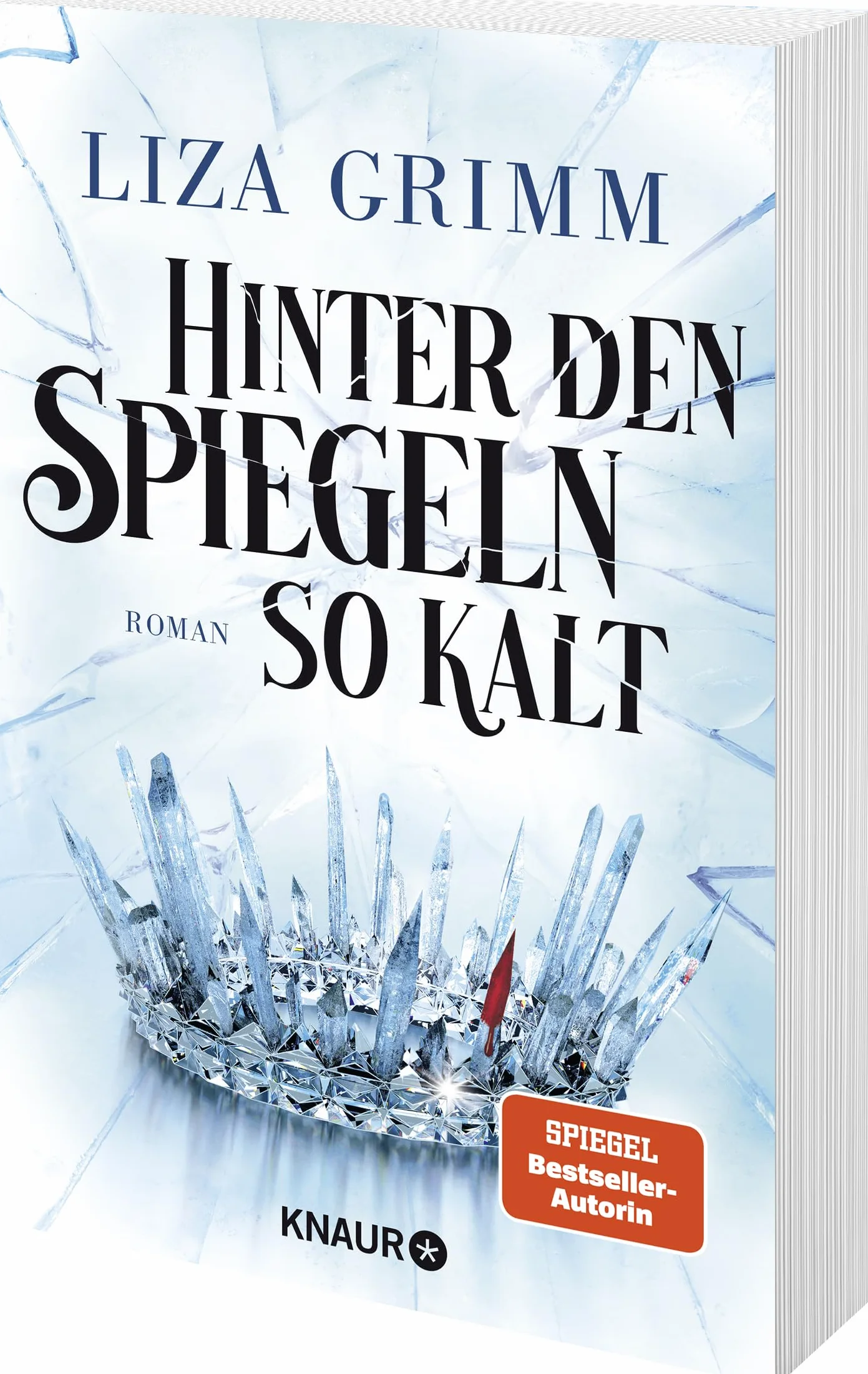 Hinter den Spiegeln so kalt: Roman