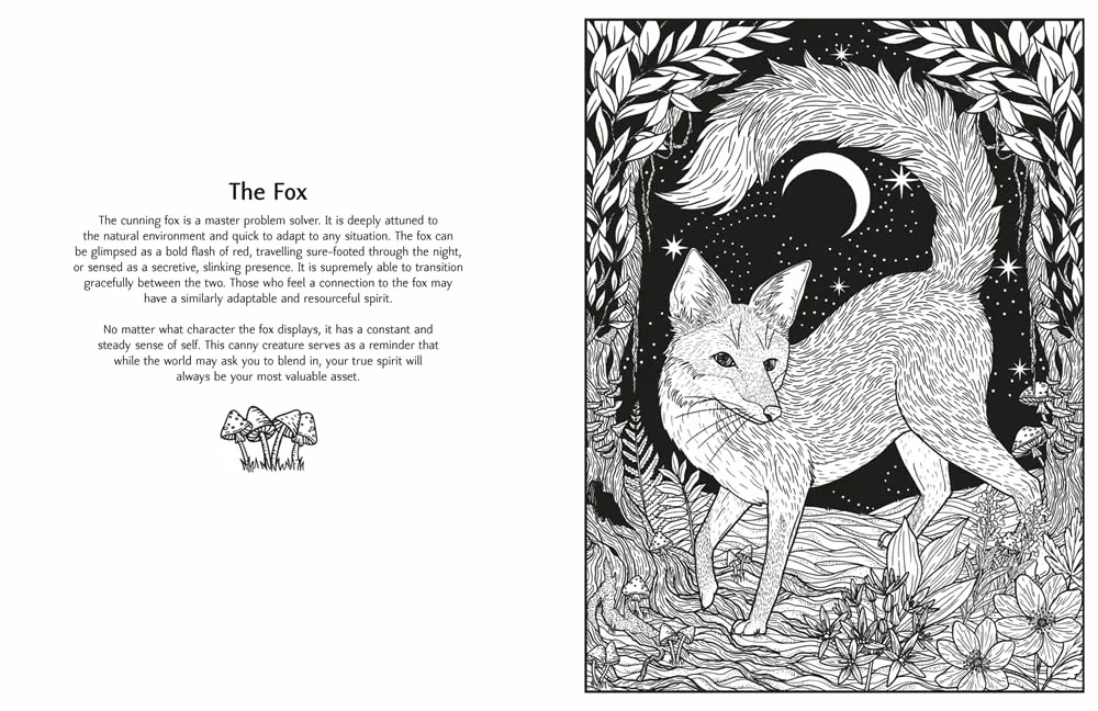 Mystic Animals: Colour Your Spiritual Guides