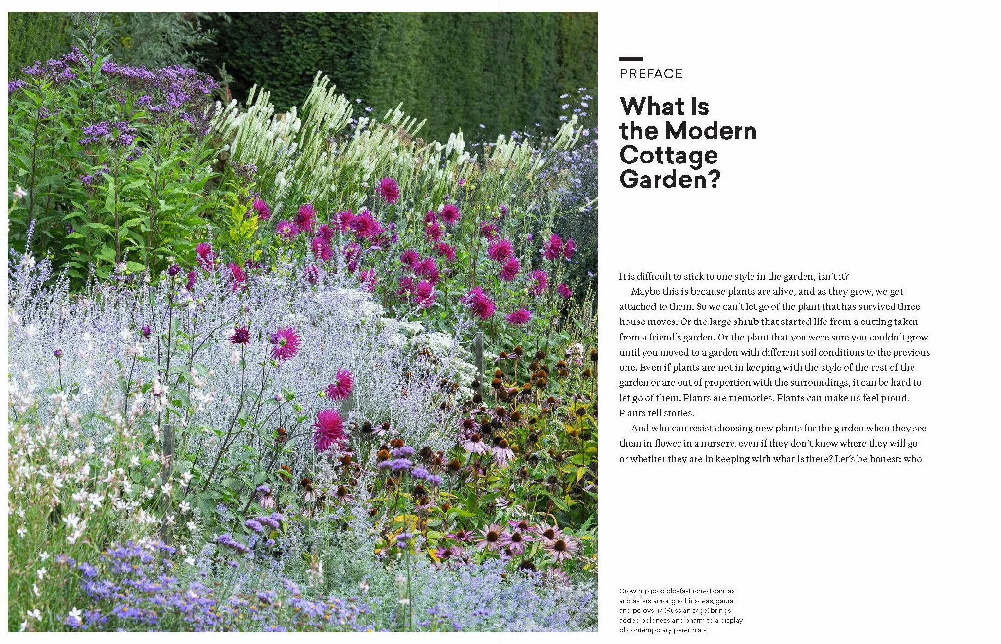 The Modern Cottage Garden: A Fresh Approach to a Classic Style